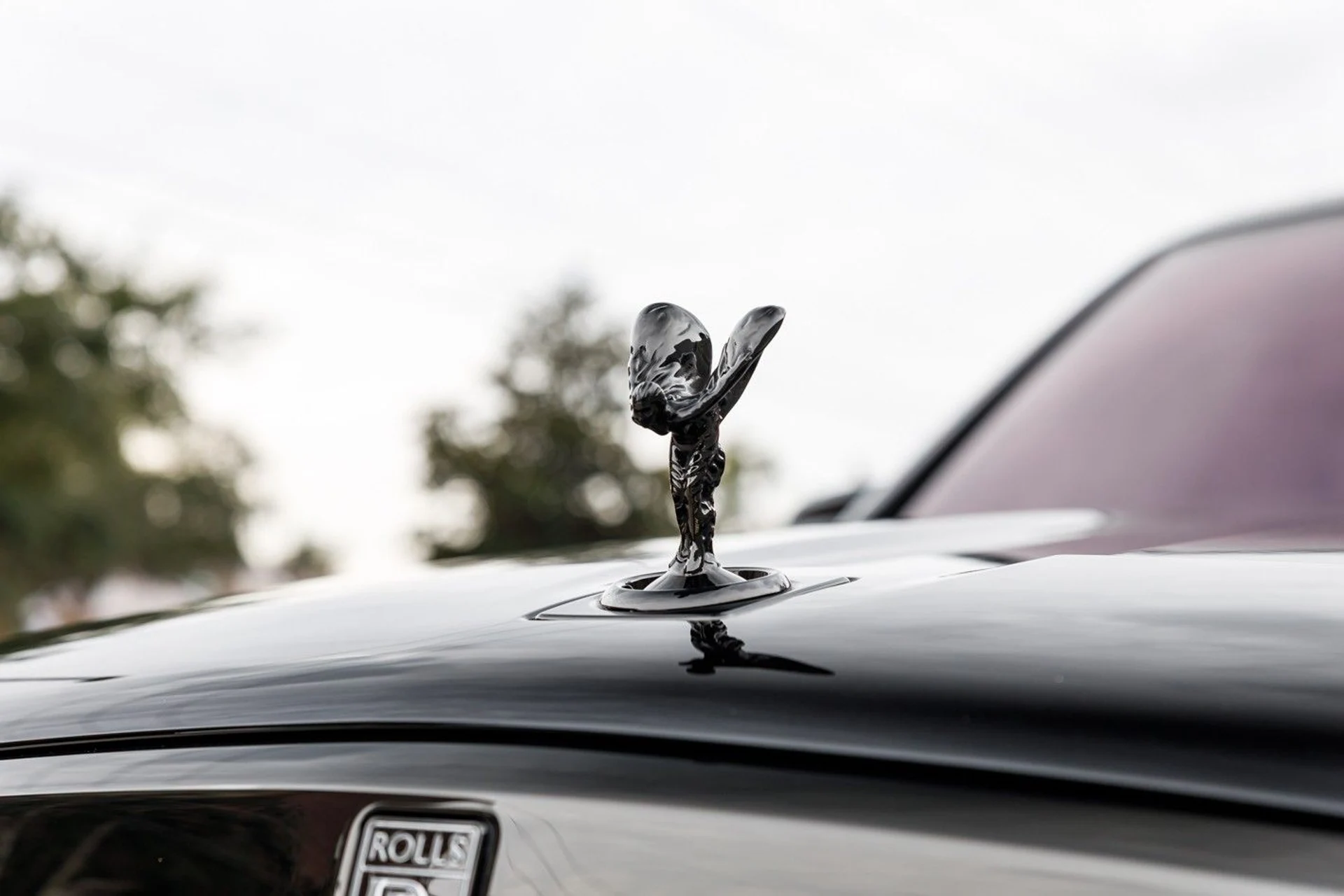 mph004_4224685502_649_p5_l_95ab6096f4