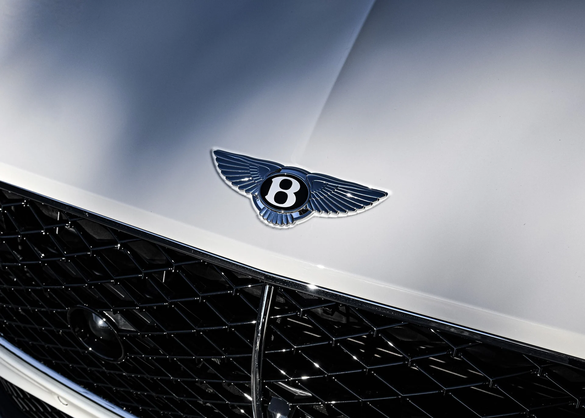 mph004_4242695733_cf33cf5f_7269_4edc_9d41_69f5932fb116_55c25873f4