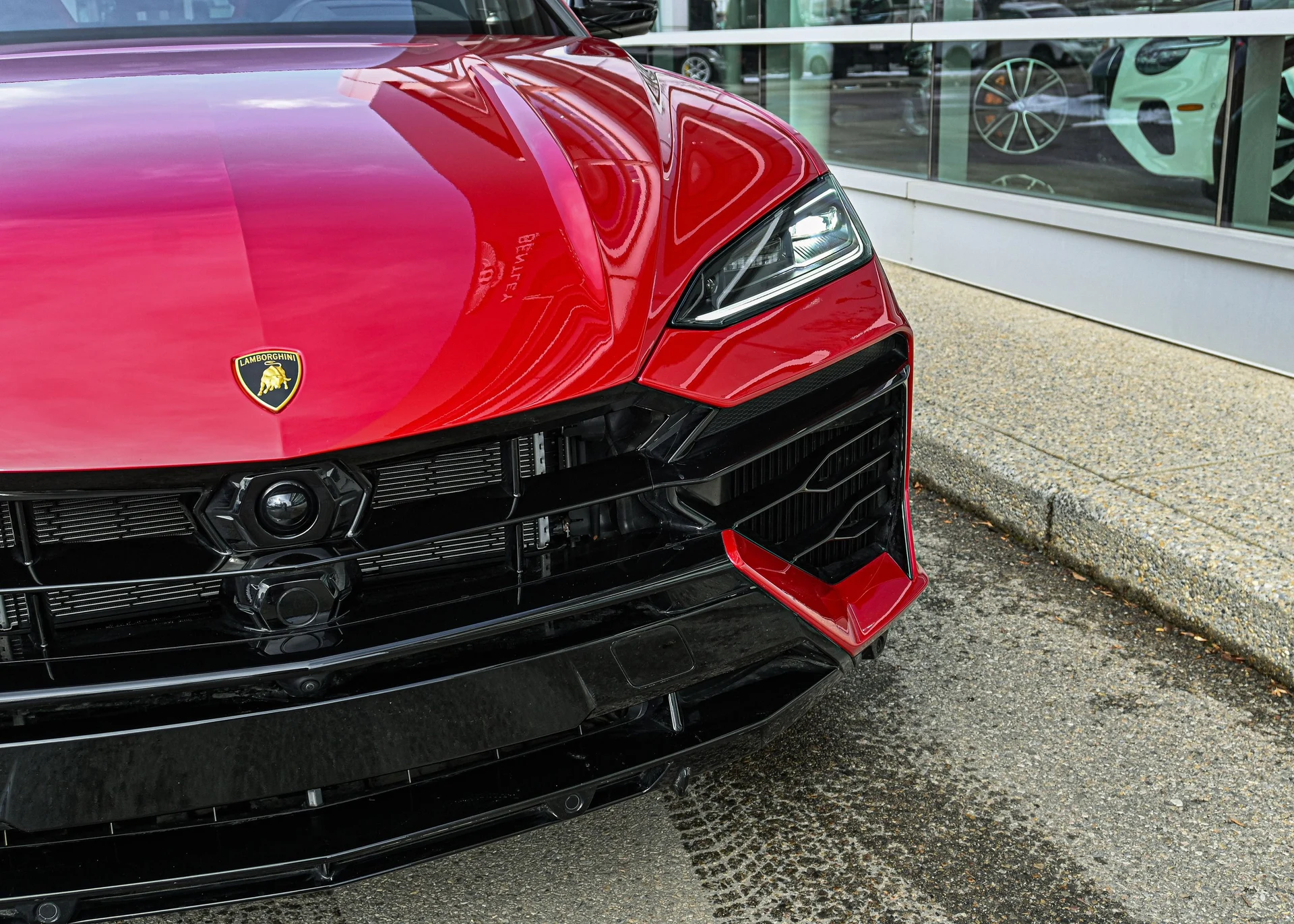 mph004_507461102_a0a0c770_d826_436c_8ac8_058c6dfbe4fd_acefecb24b