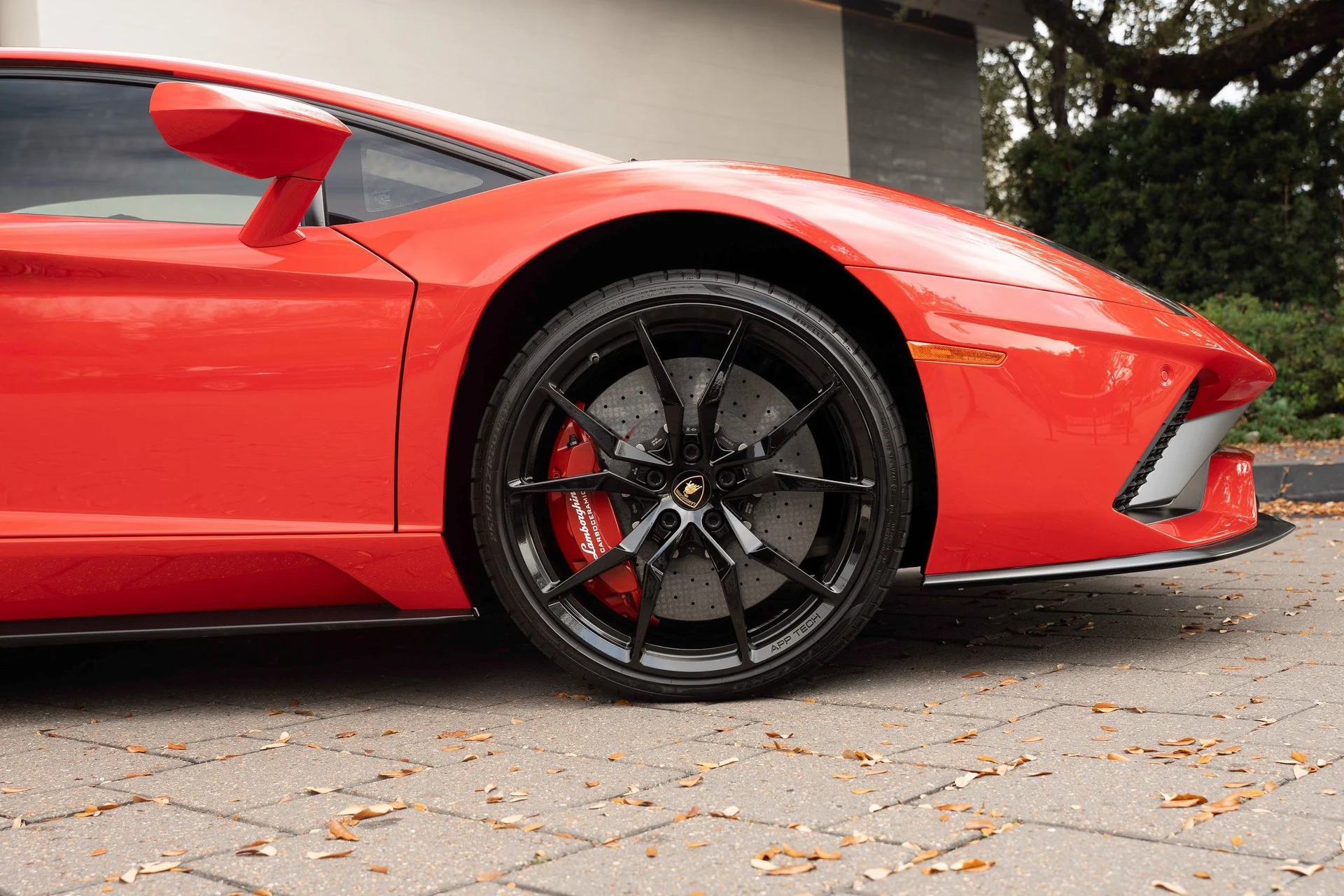 mph004_679348398_image_5_095b0feda7