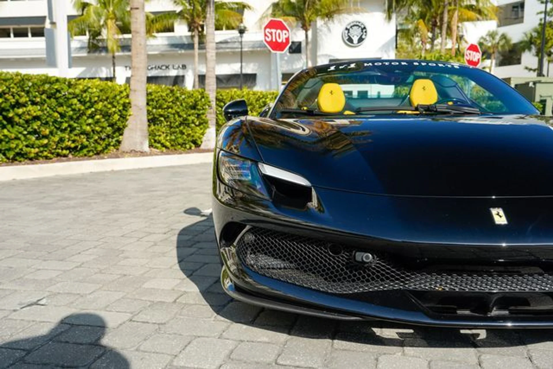 mph004_684593198_22988453_5_d59dc2a1ee