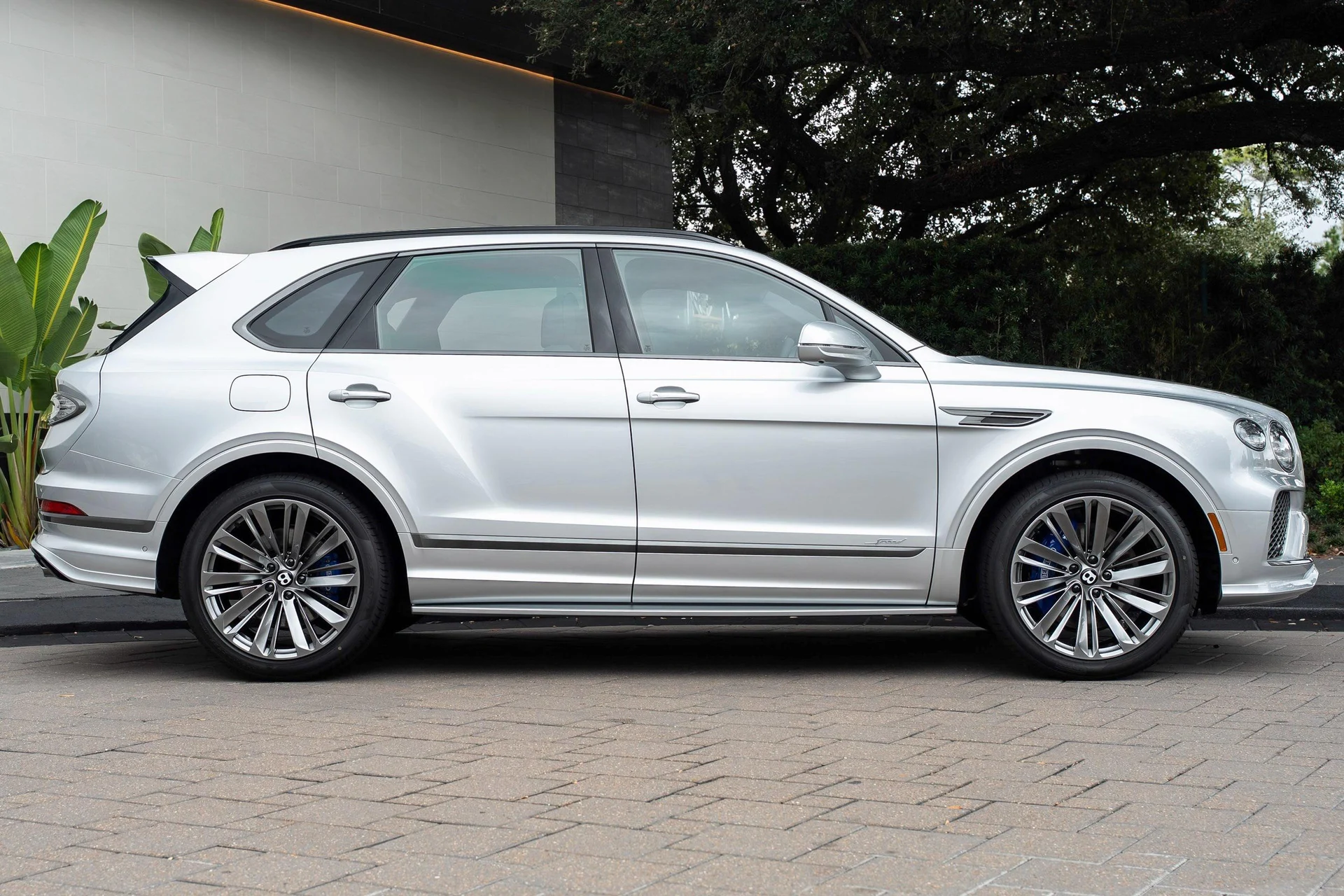 mph004_729175007_477619924_6954c0024e73cd9f103f4fc5_6dd79607f0