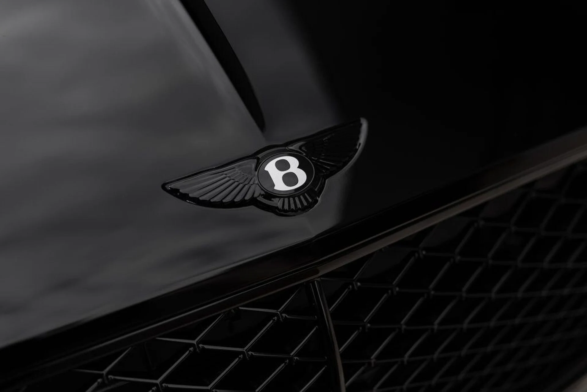 mph004_741860781_fa542f3729c616bf8f523219421d49a7x_b5ae1ae132