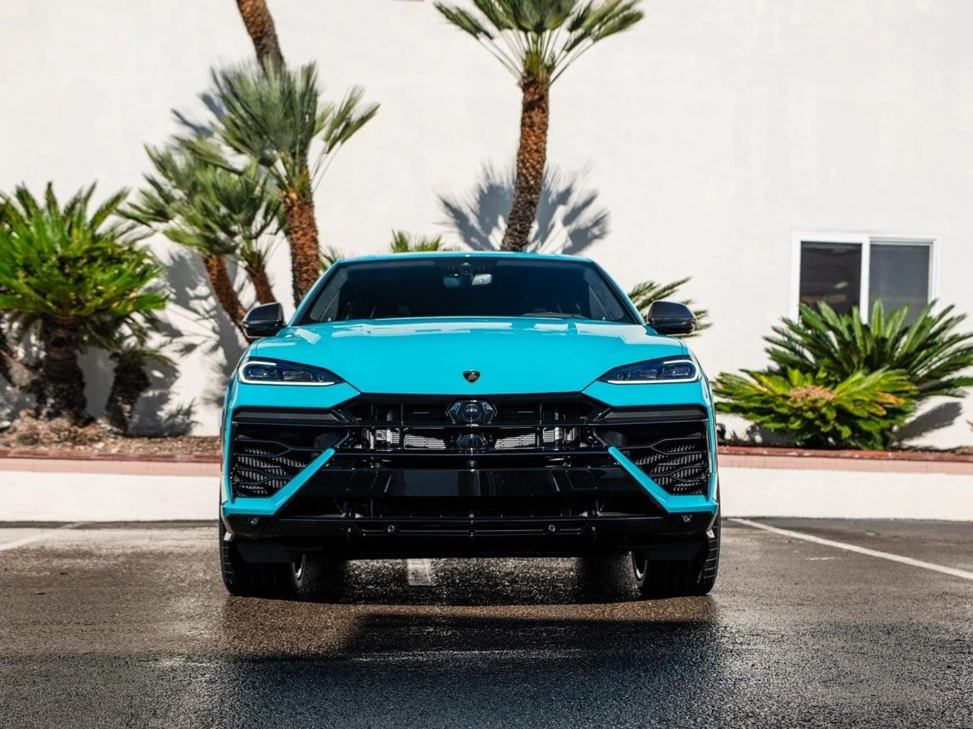 mph004_8530596_4a819ec48ab216bb55bef3fd4105894dx_bdce3ceb53