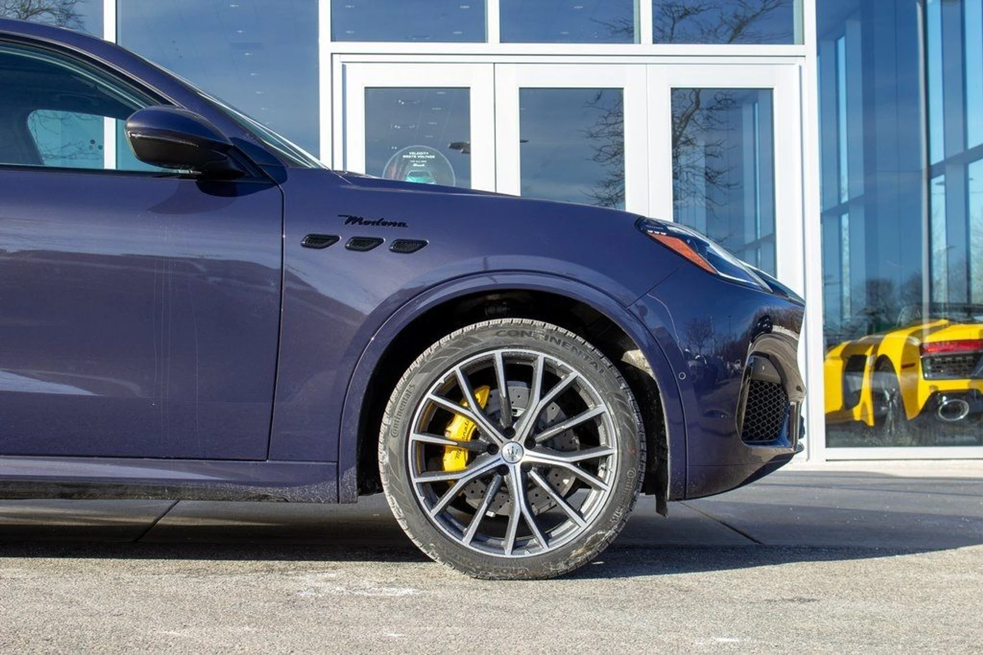 mph004_859712491_5d51b8b7c5198be38721fae542c0ec2c_53186843be