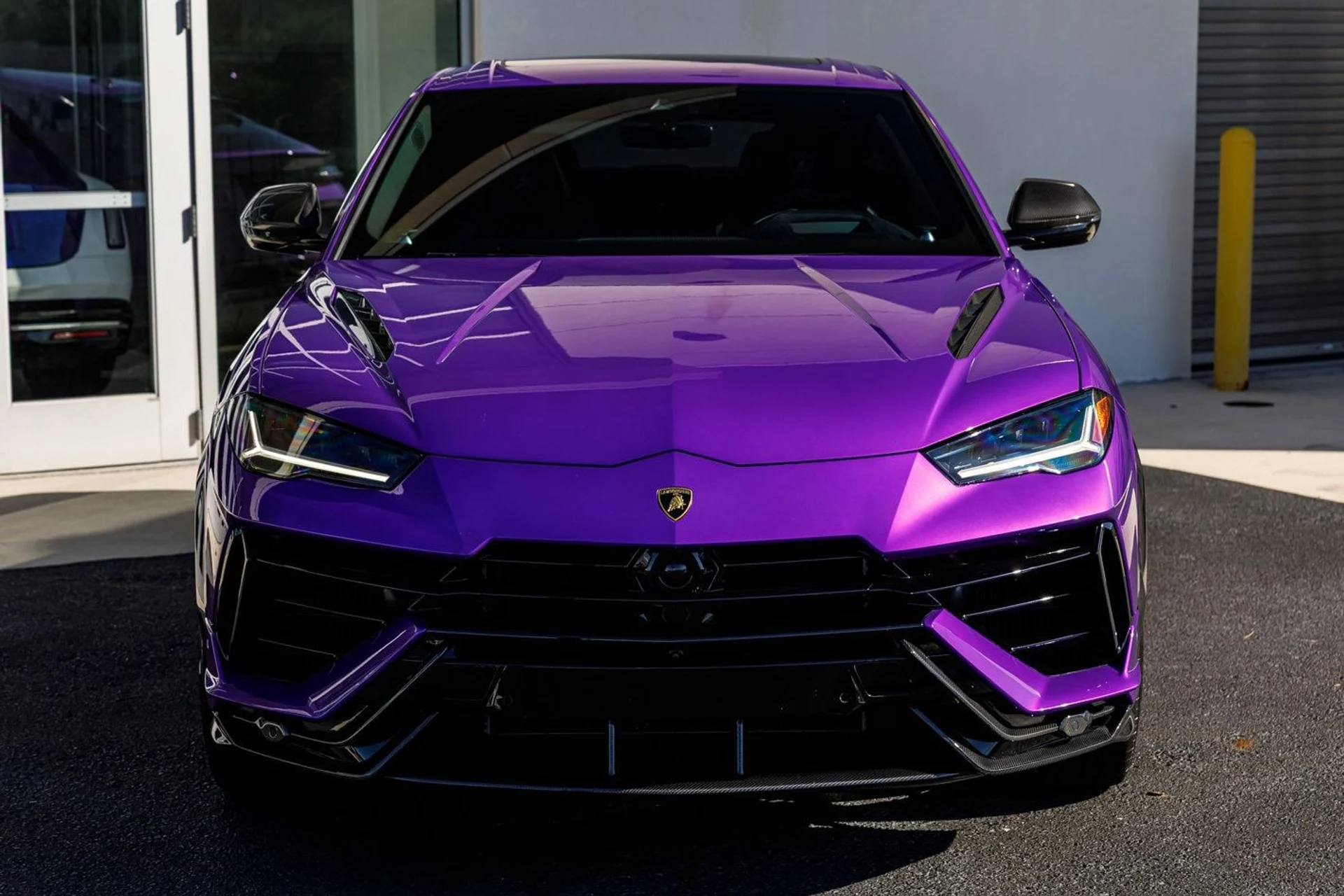 mph005_109840385_4d3616b7f4fd00fa15f433e90901b5b7x_5335bffea3