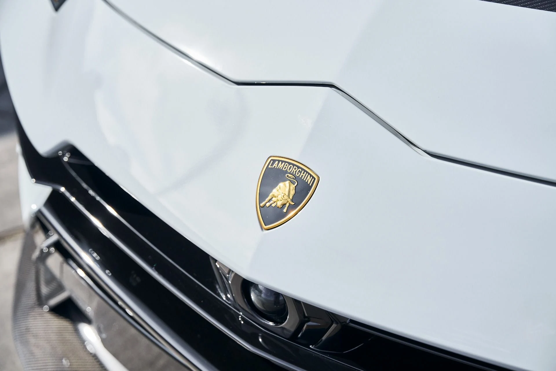 mph005_1107689377_Used_2024_Lamborghini_Urus_Performante_1772849024_f29faab7cf