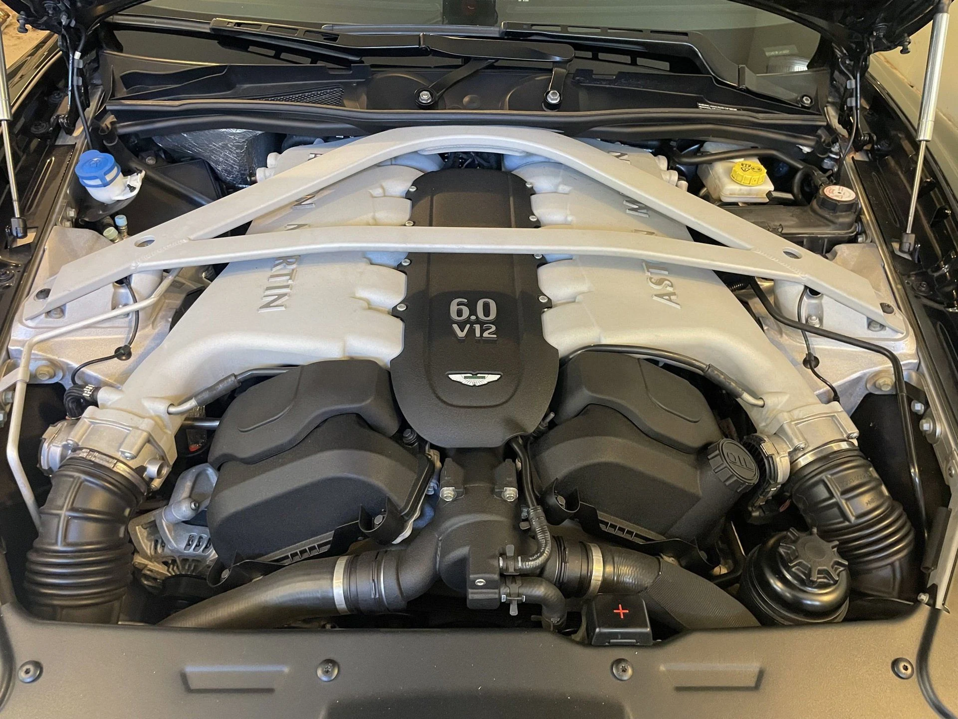 mph005_1153978290_b761e96d03cbe44d6fdc312408311ca6x_70d0a27d51