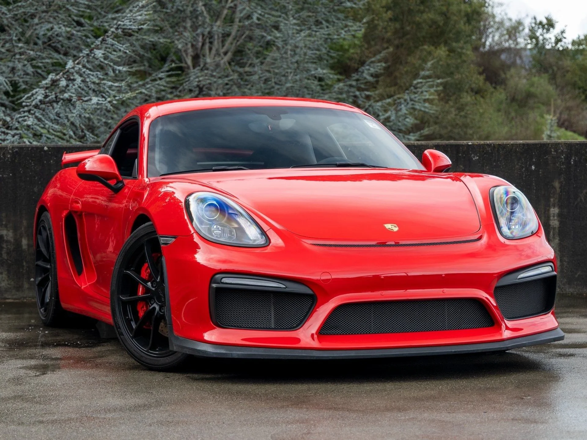 mph005_1180313561_6_f7625112e5