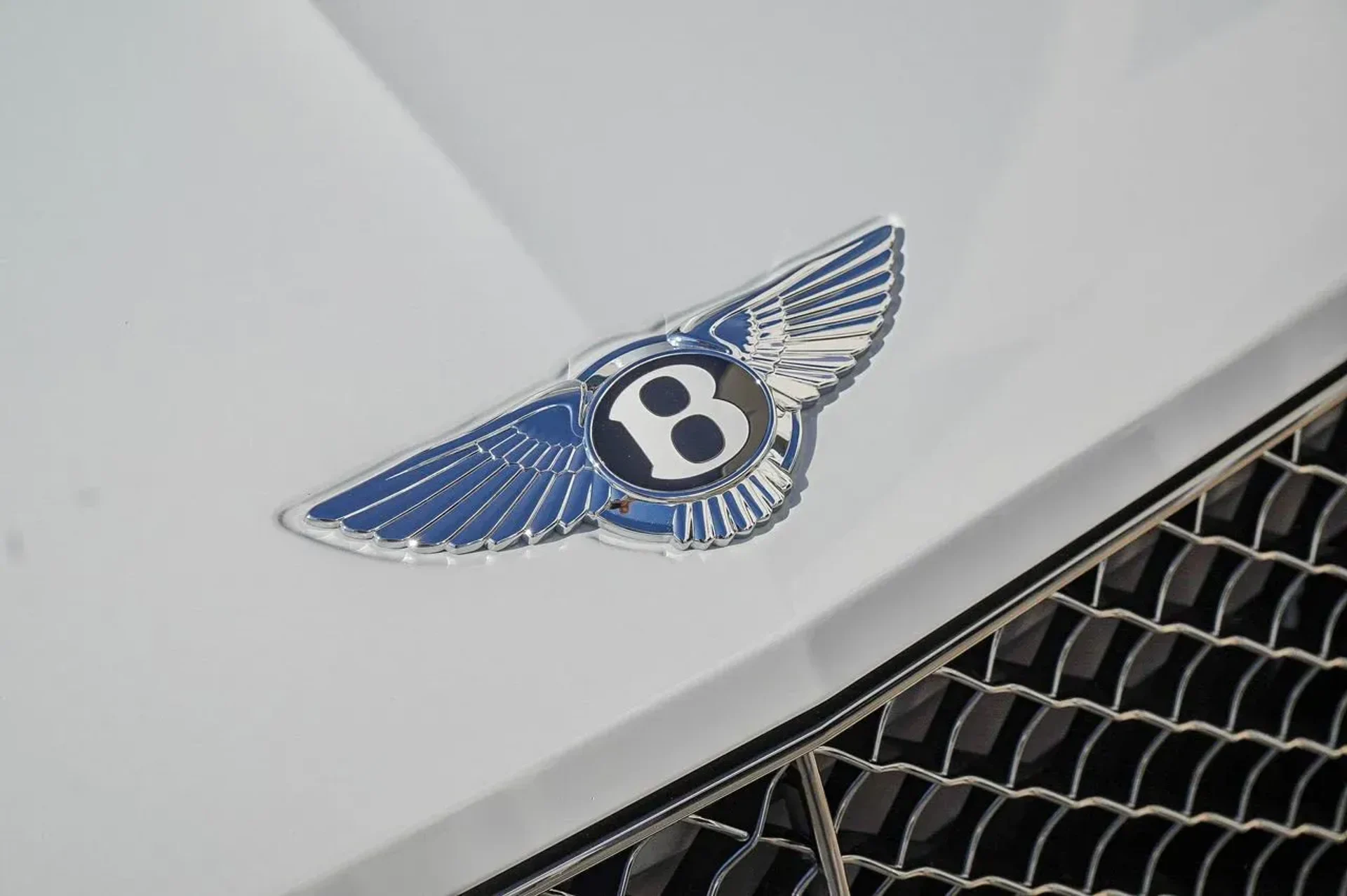 mph005_1259669538_68a8f88574db49e6945fd3b1ae7651fc_dc82c95970