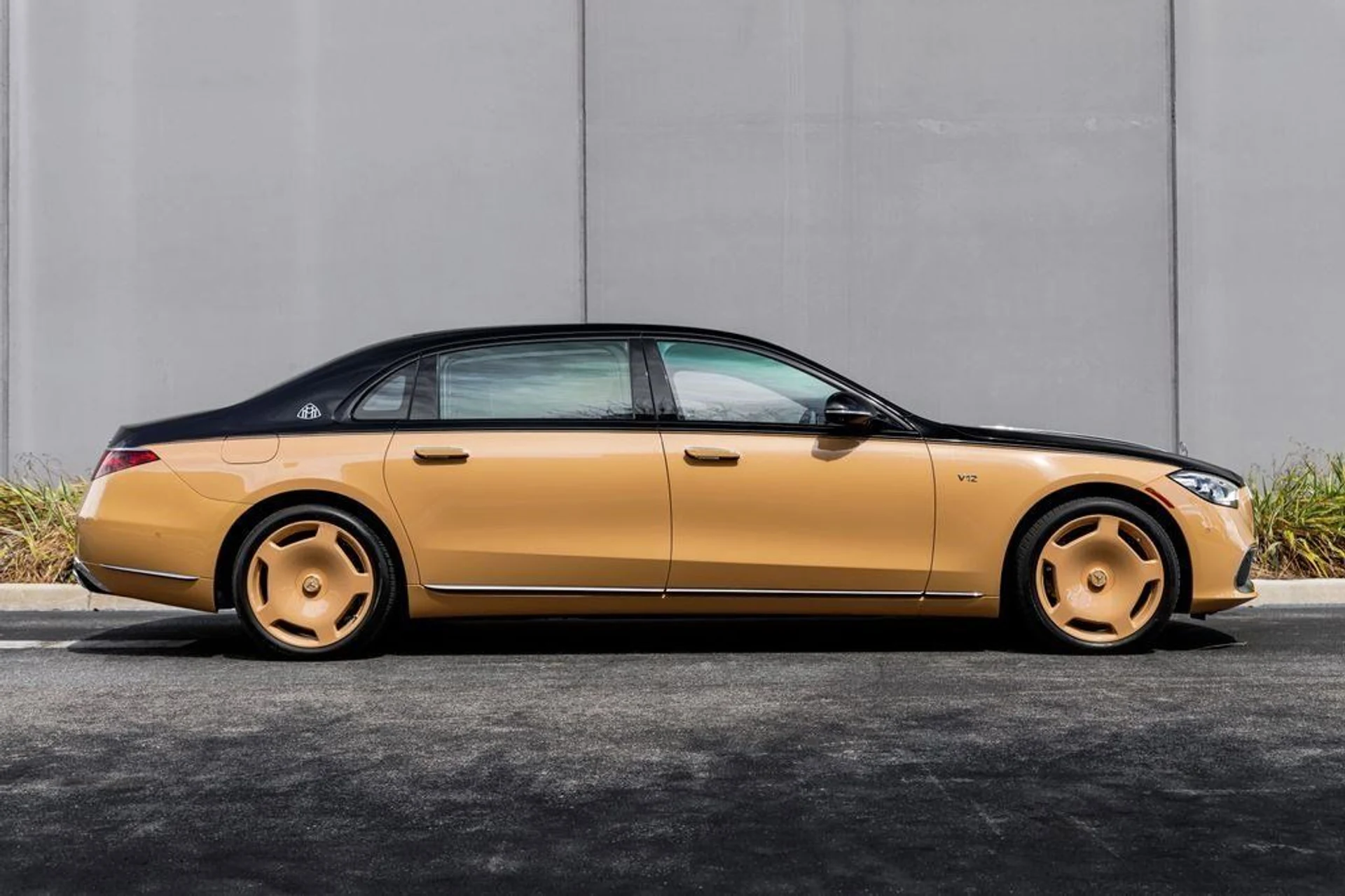 mph005_1273028296_fd679c1726f26cd8129df3724fe0d3d5_087a59f6d9