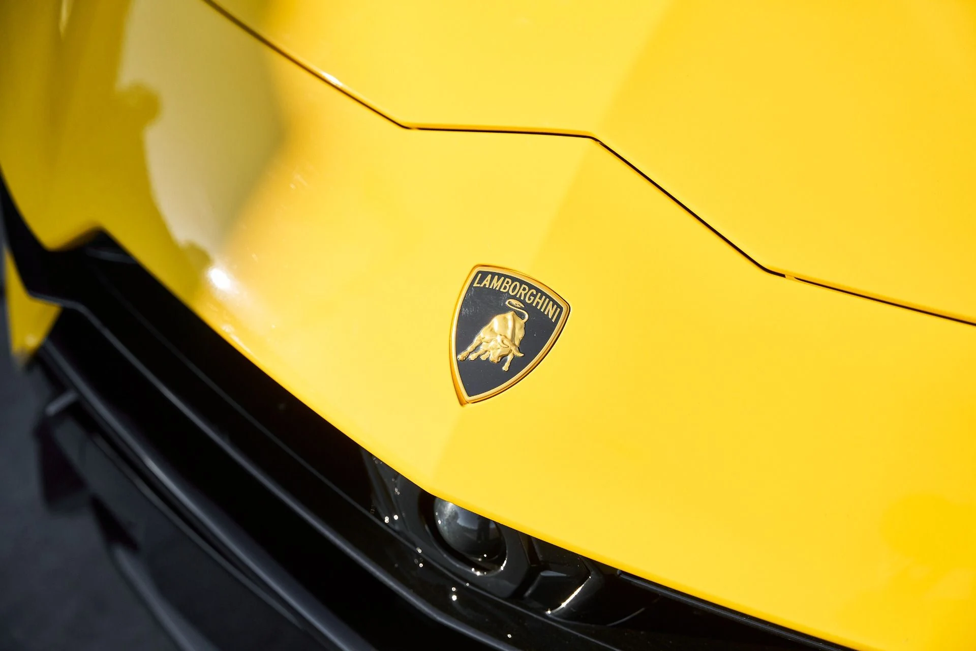 mph005_1362899822_Used_2024_Lamborghini_Urus_Performante_1768011540_33e1696425