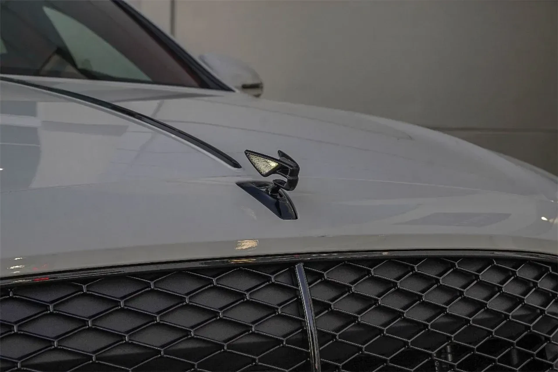 mph005_141065962_4bafb5abad6e4254a9b9b3e25f57fb6f_cca06590ed