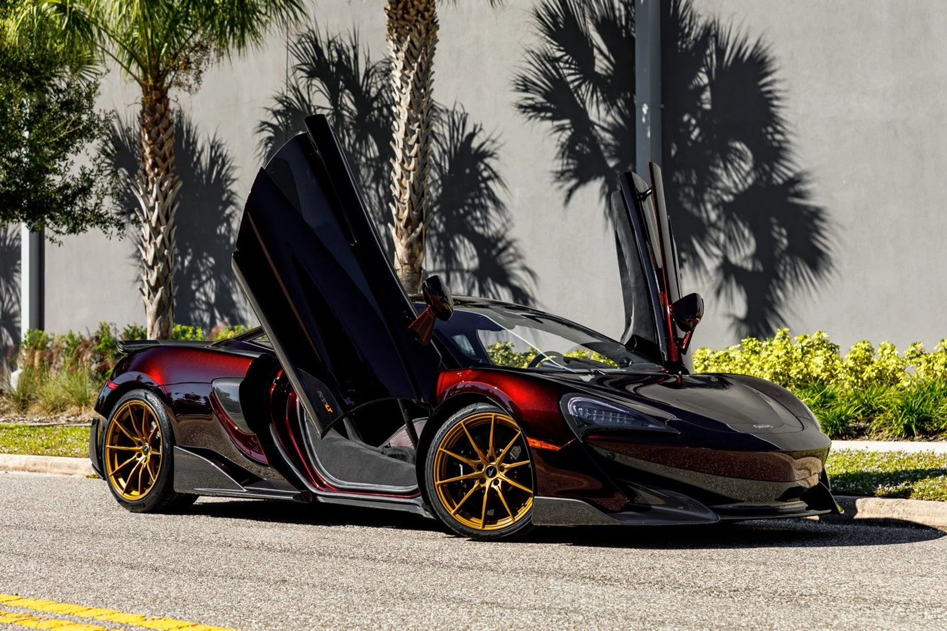 mph005_1514675952_615_p6_l_1128061acd