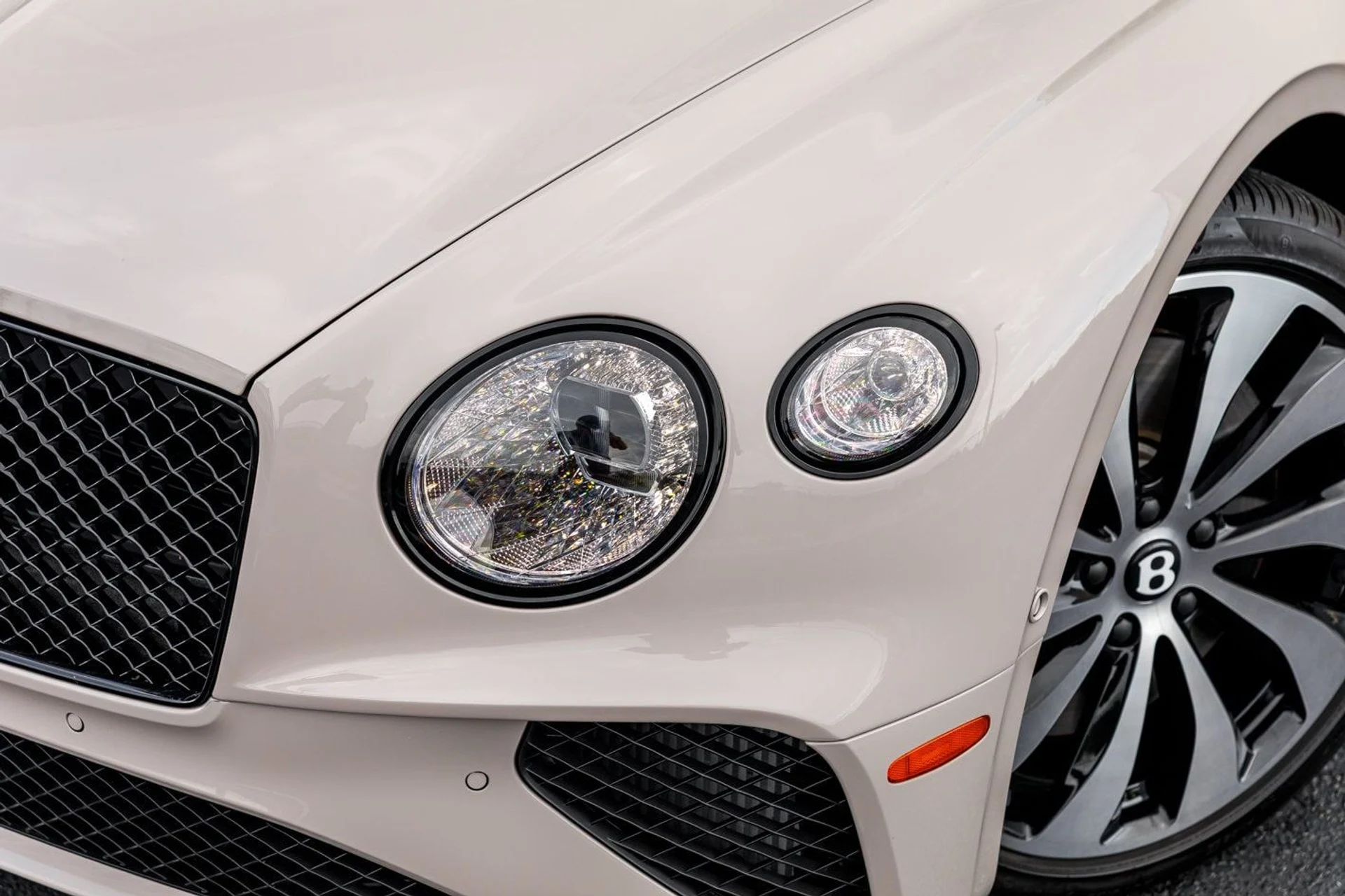 mph005_1641469223_124759d8c7d9e2d447d058f9d540722cx_8d612a1f31