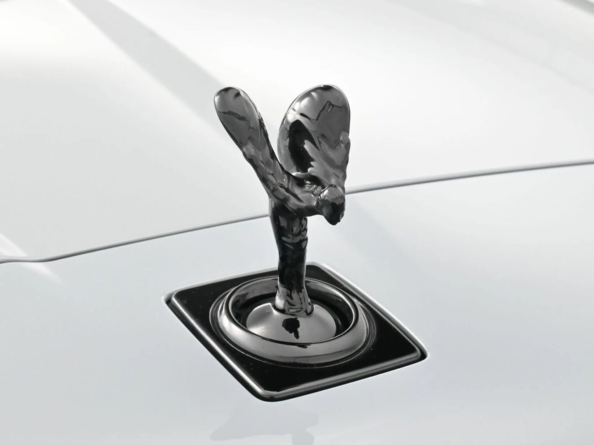 mph005_1732447161_40a0a1dec44d28835ee9802a4416dcf3x_6e96bf9123