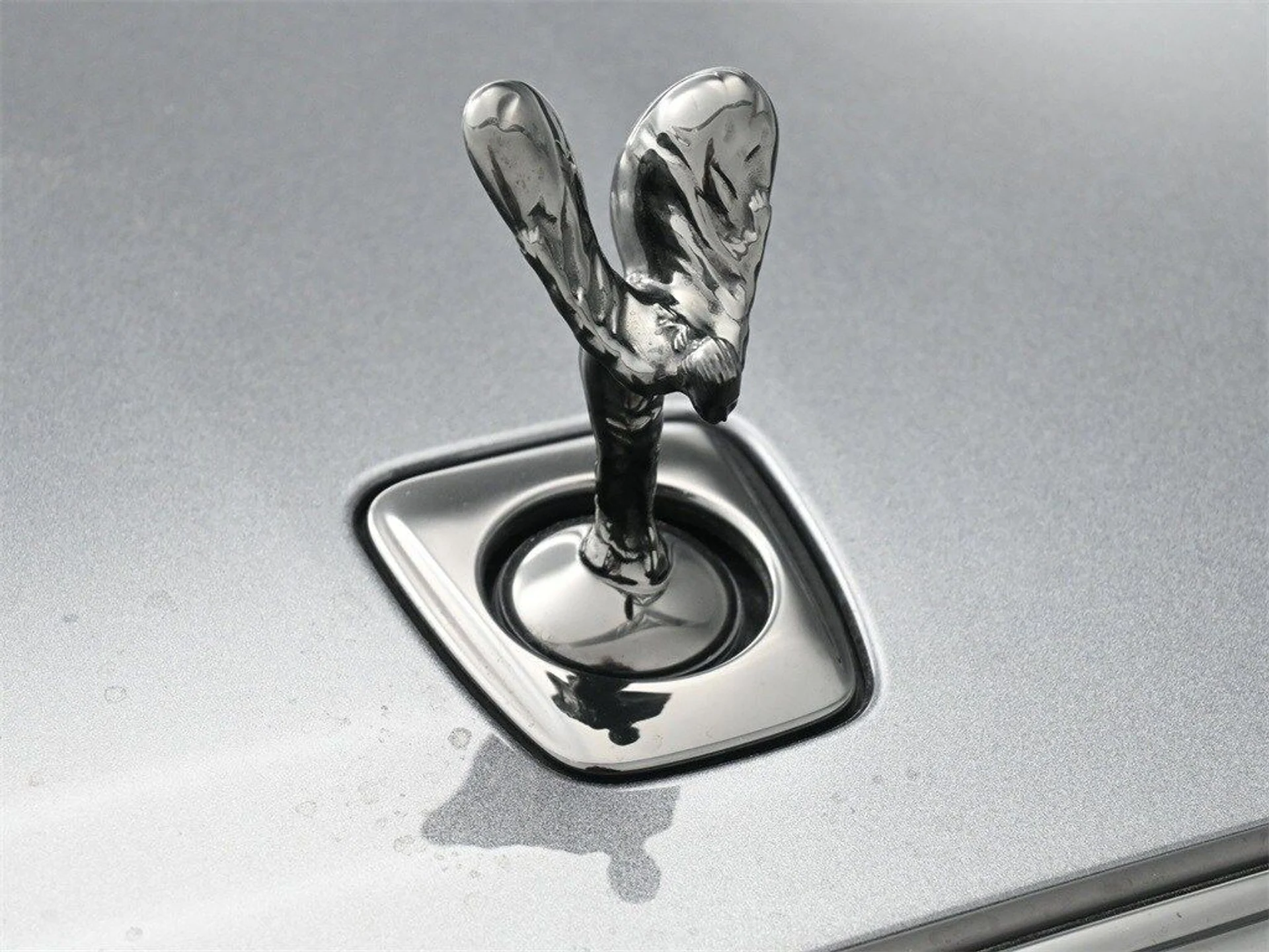 mph005_178696054_3b8d5fc46f4271f87d63277745768cadx_baf3f9cf30