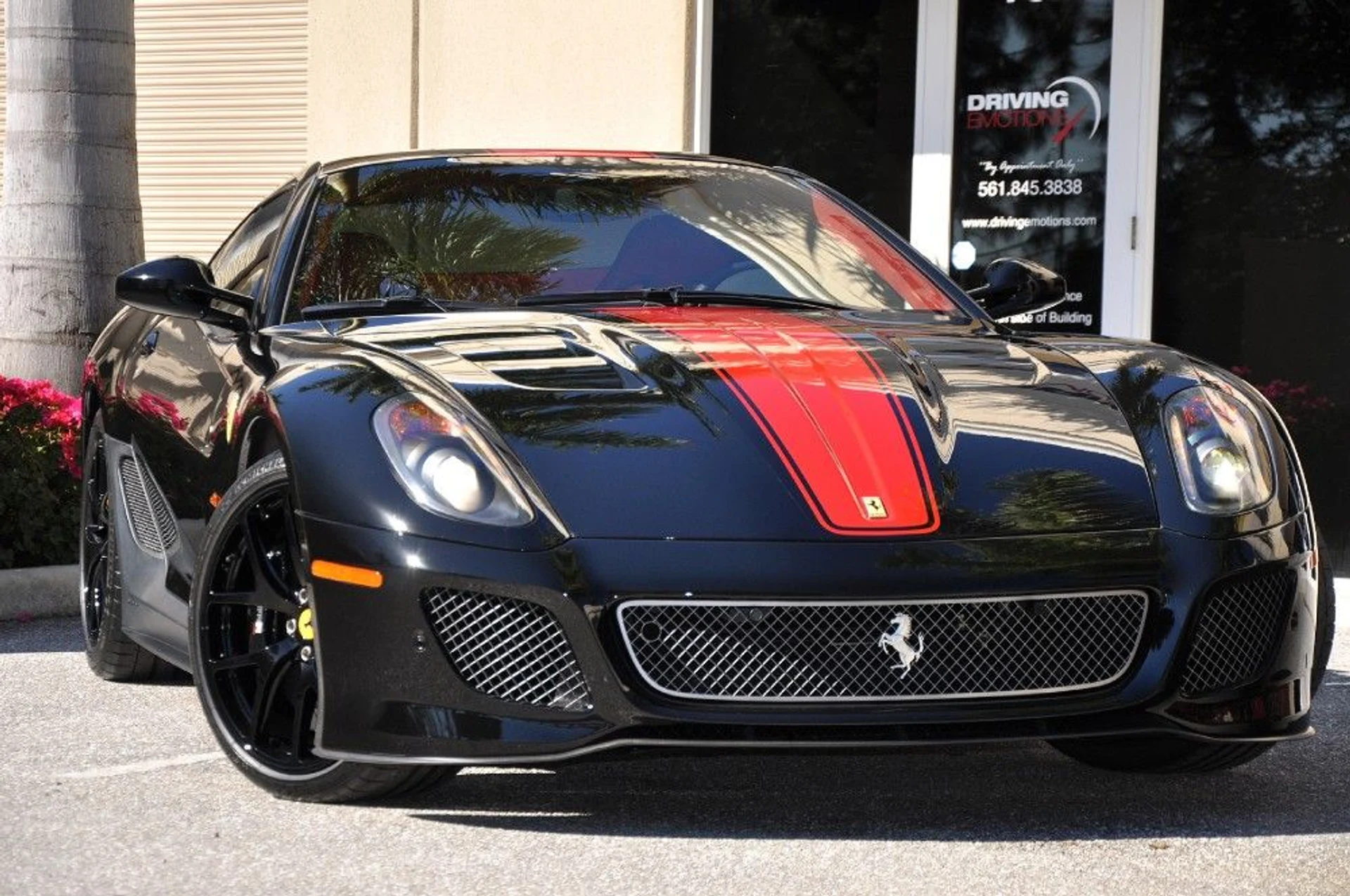 mph005_1869242142_82_p6_l_e9cd76562a