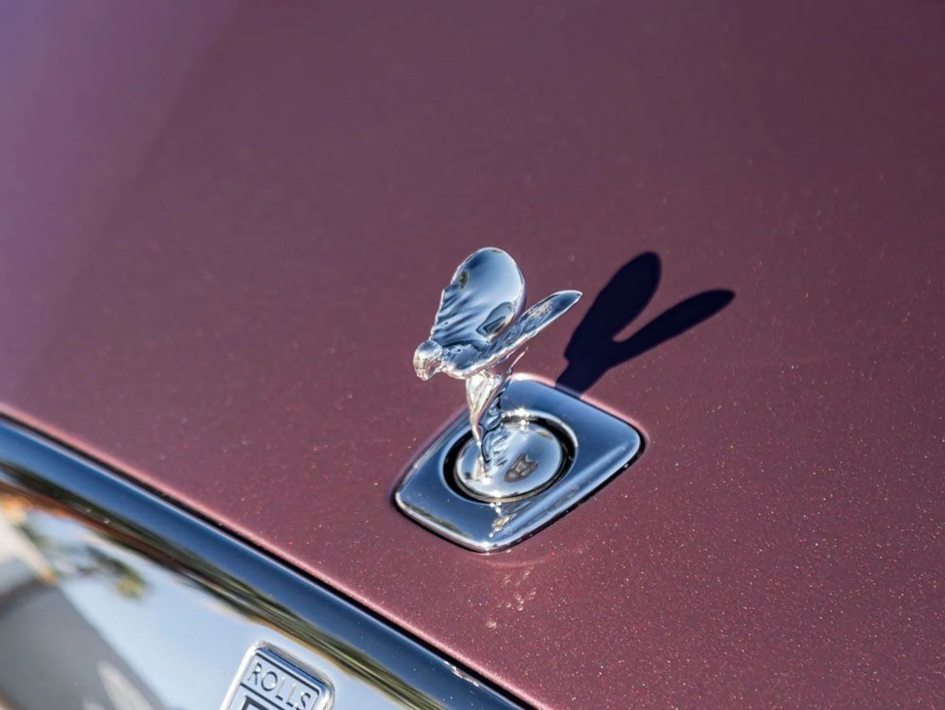 mph005_200531271_6_fe1d999c25