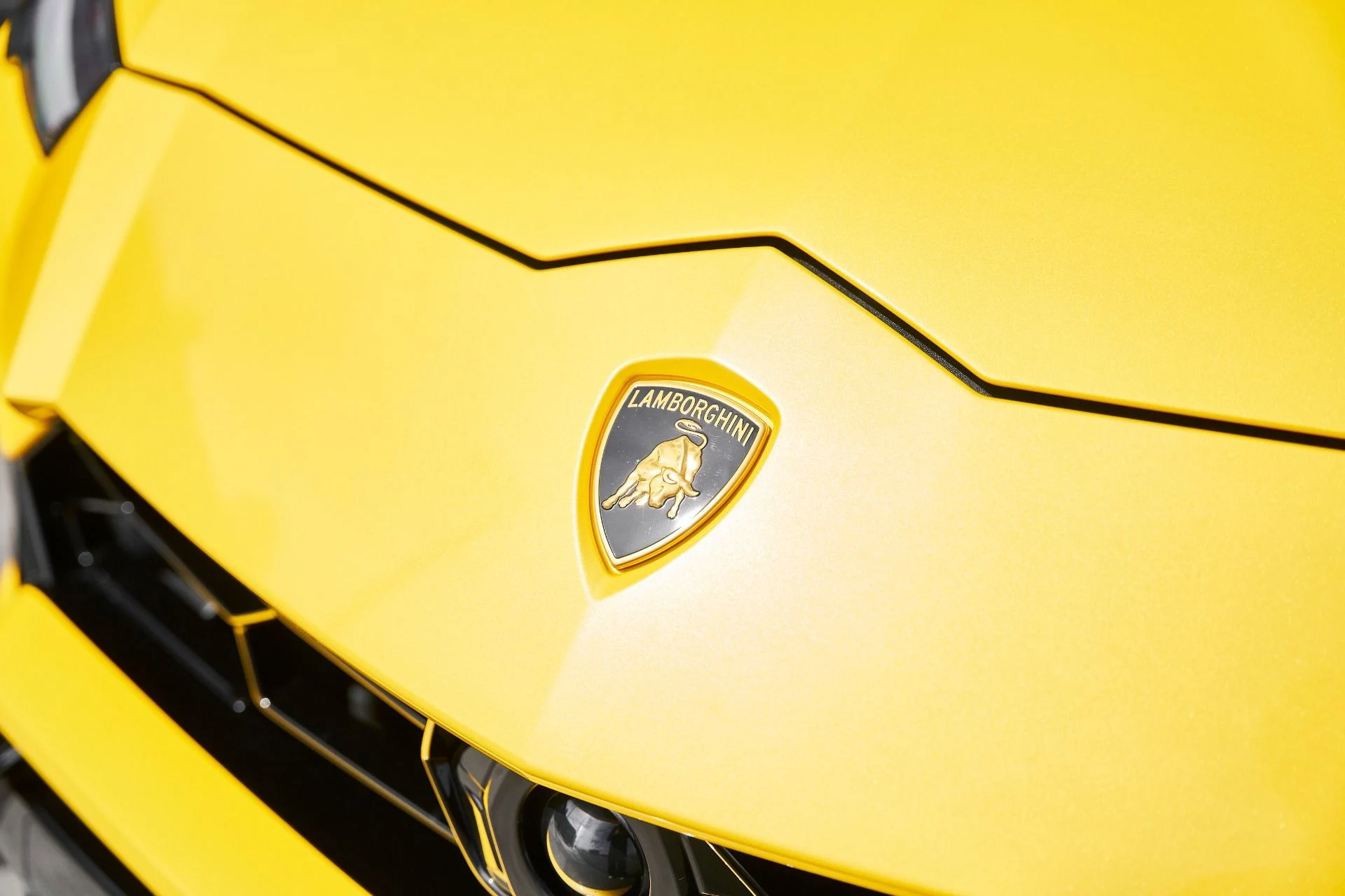 mph005_2102135484_Used_2021_Lamborghini_Urus_Pearl_Capsule_1772843439_3608126f31