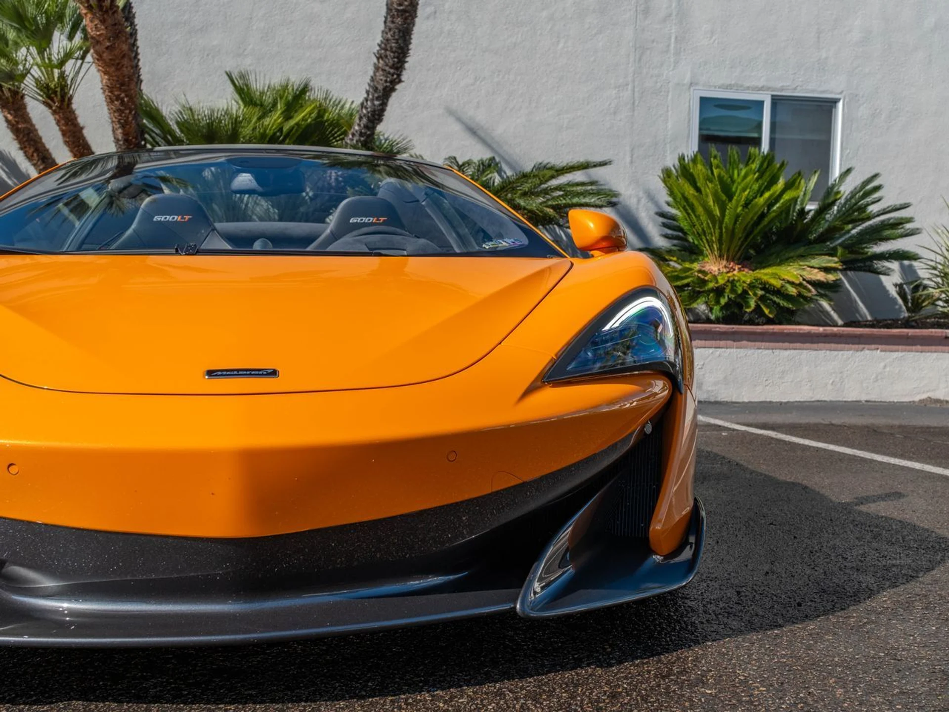 mph005_2291693099_c93d44a66ae8b2bded26617a84f770aex_f957166d59