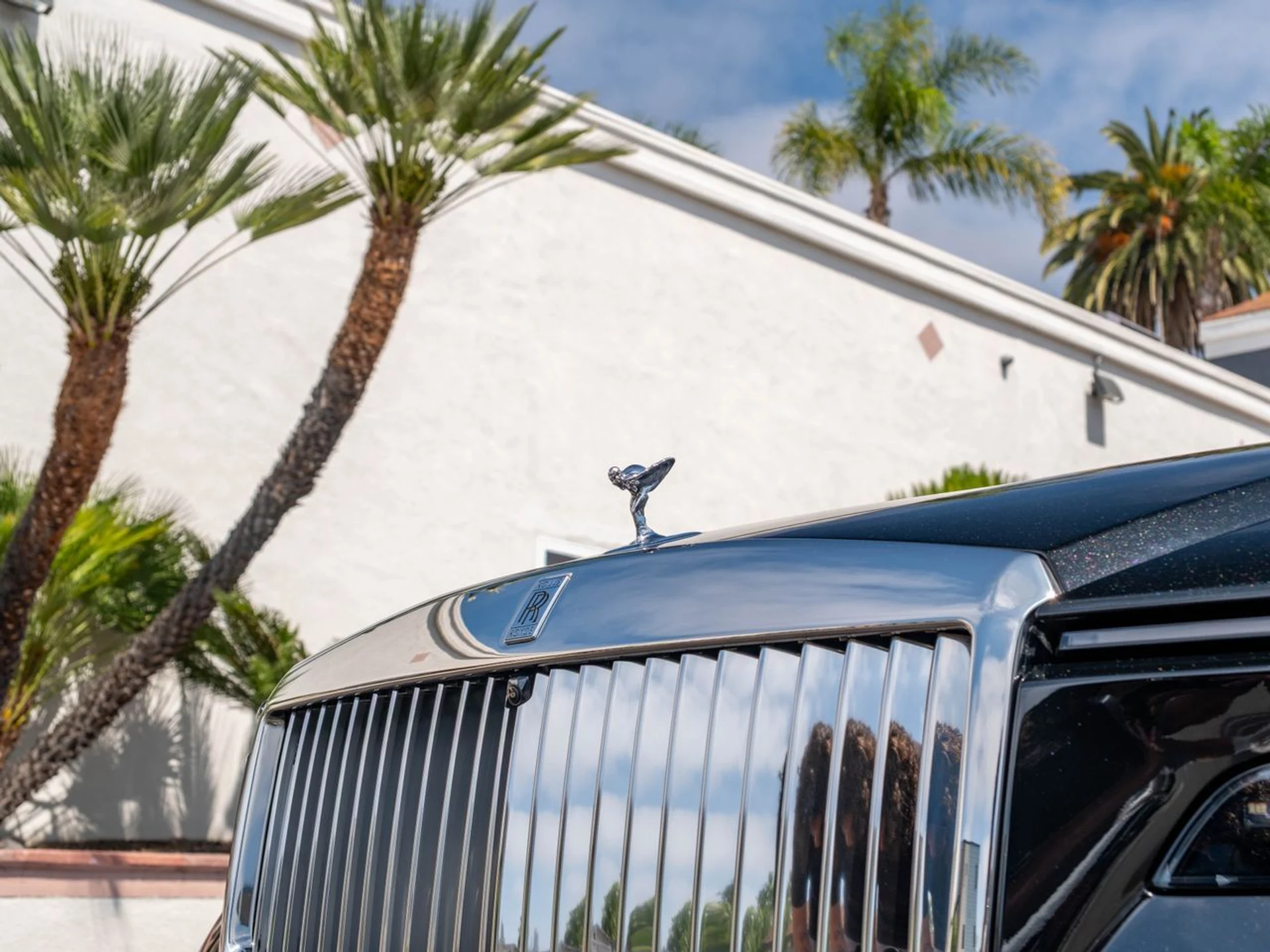 mph005_2305655810_cd0ec1ef39b5e9f1e28bec2d2bd1f766x_082b96421f