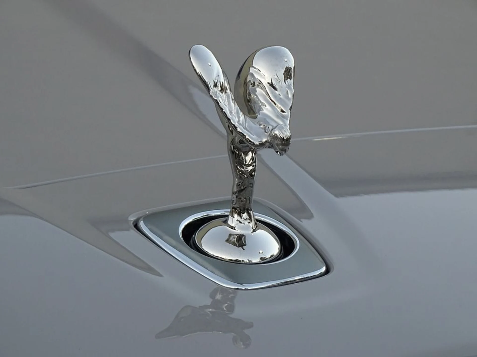 mph005_2328970539_d8c7bf6a6ff56aebbf86165cb15e98d9x_9a88f10822