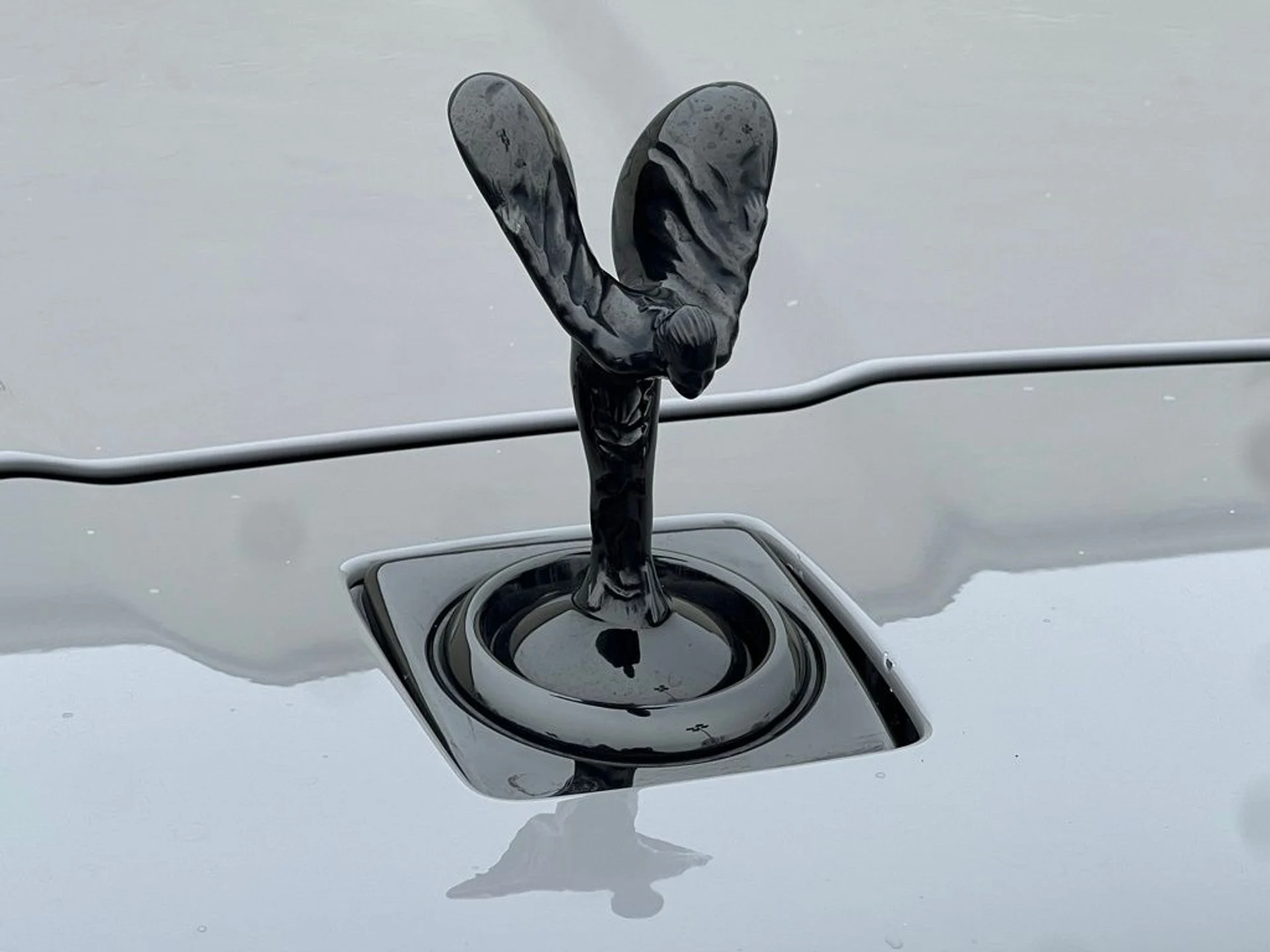 mph005_2337729684_2786c3d3ce8a38f2ff81bd06c4c18ed8x_e032bb1771