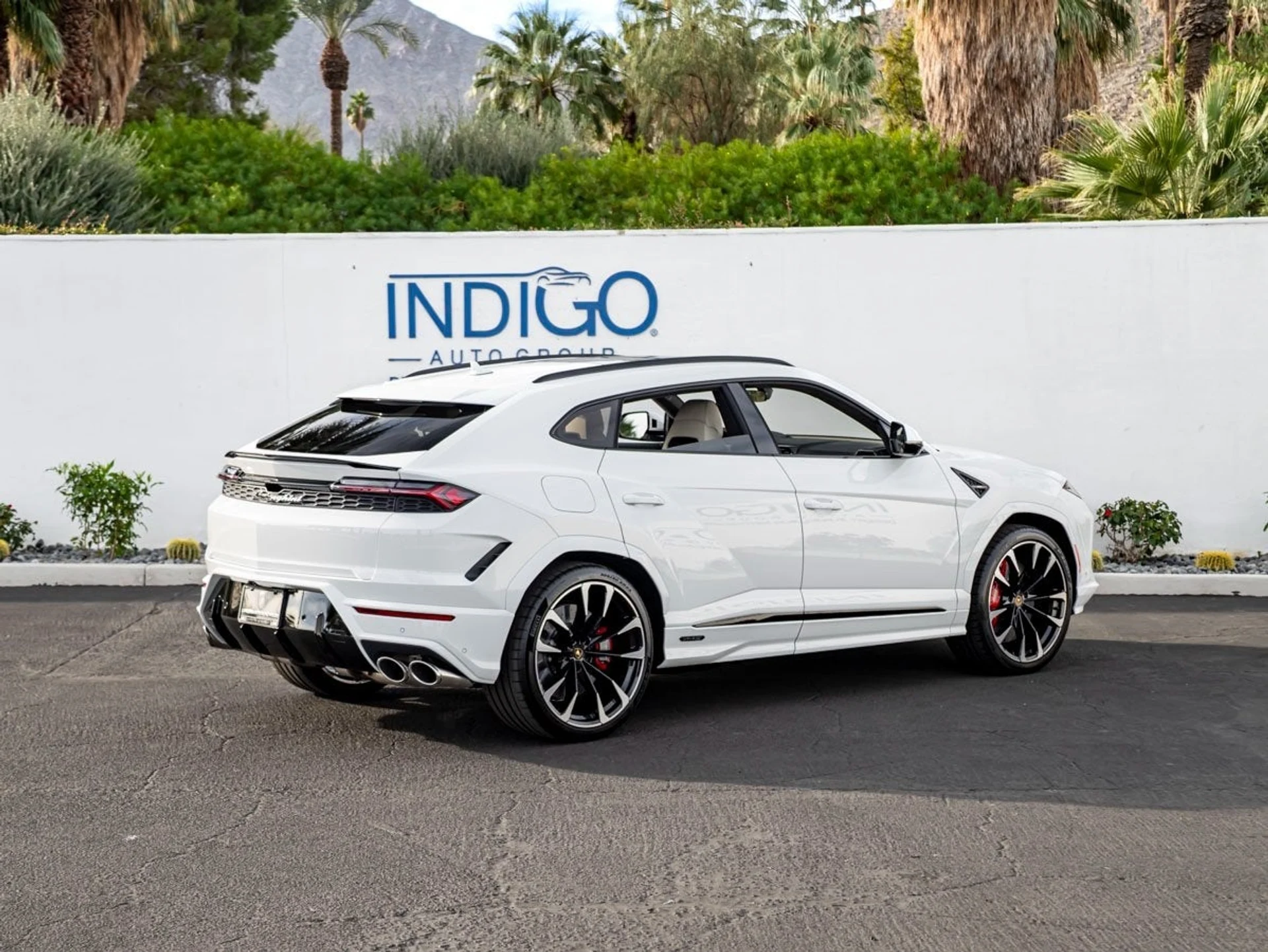 mph005_2361810964_6_93a745f6eb