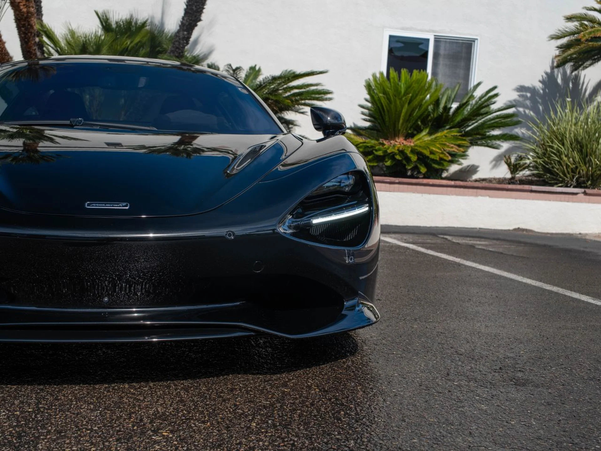 mph005_2376077803_5d28c3587ef7064c5b89b2edf521ba4ex_81d5953d54