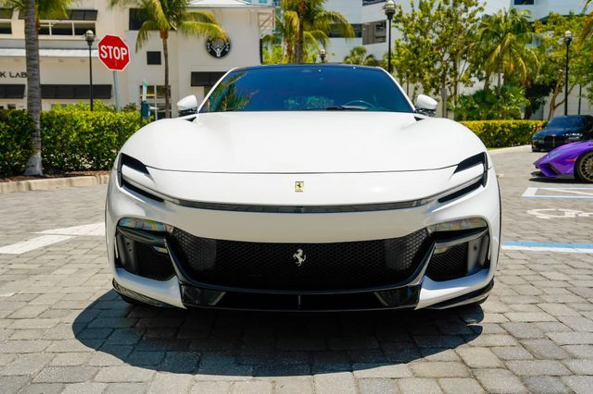 mph005_2405048843_23015679_6_9006df977e