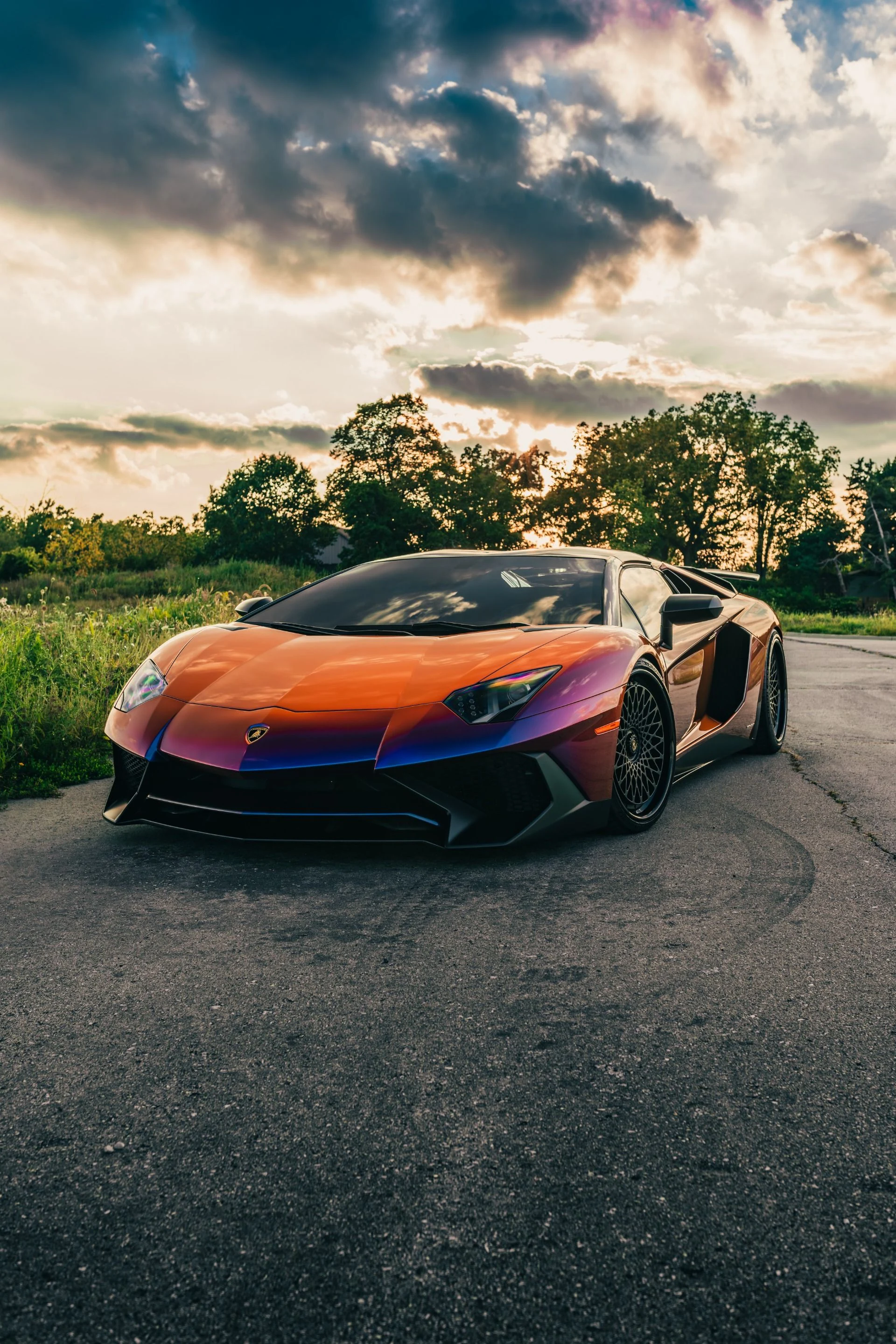 mph005_2436510025_8742_p6_l_64b0c5f986