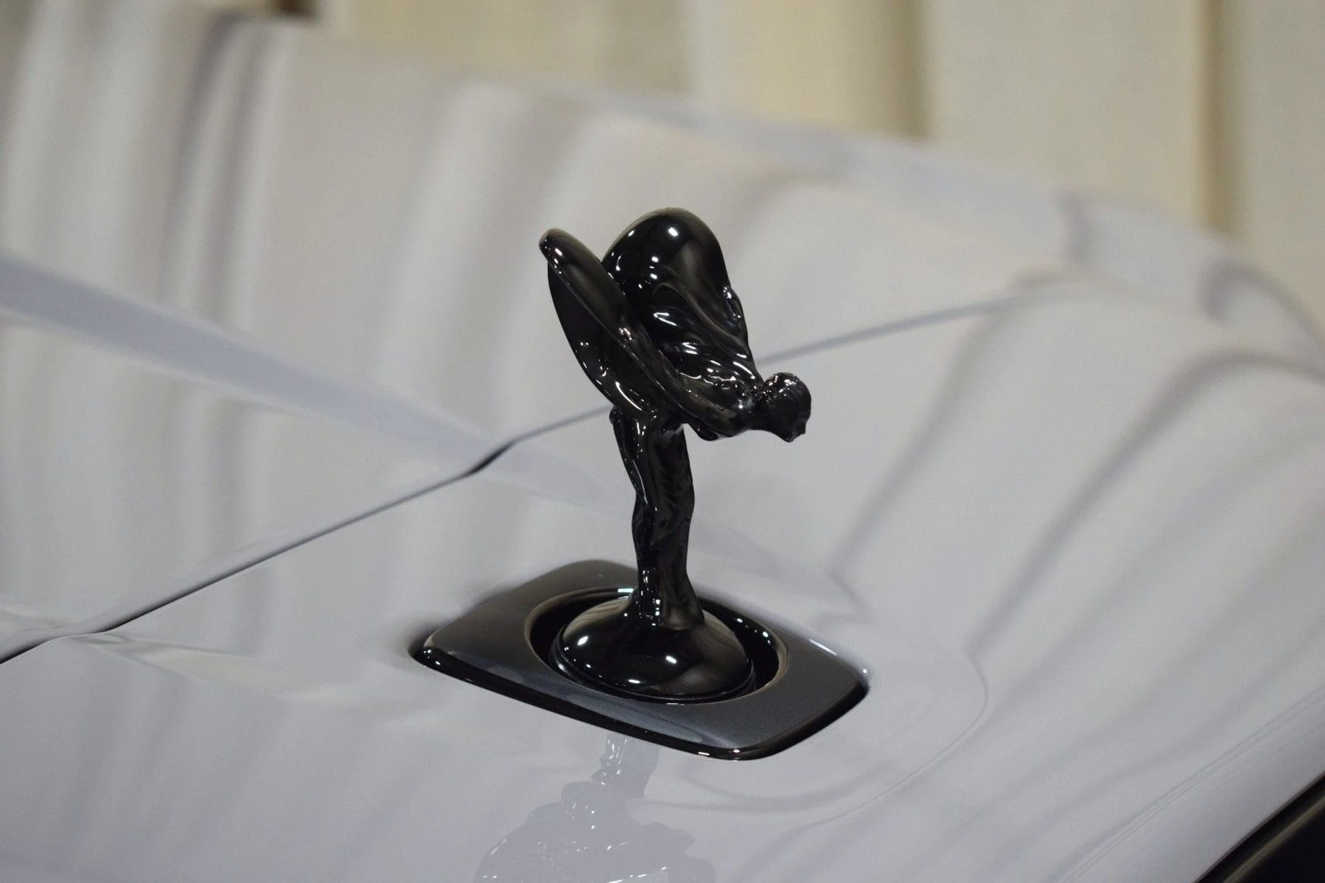 mph005_2442395020_cecda99ac514bb83c50006b63bd11fabx_b9e636b528