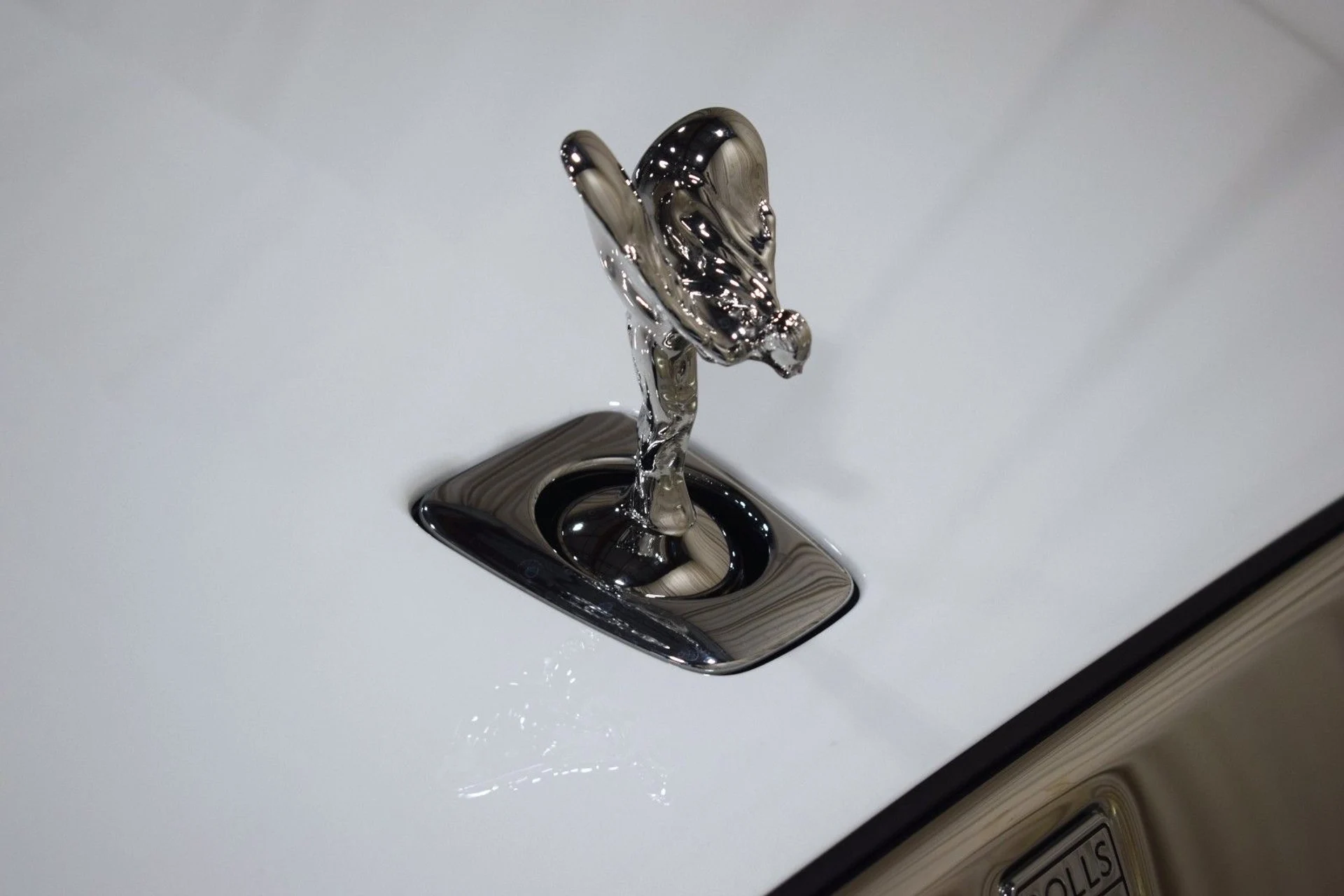 mph005_2446749724_d0a792b2cdc4e05345ff6bf60a0eb62cx_38b9edba28