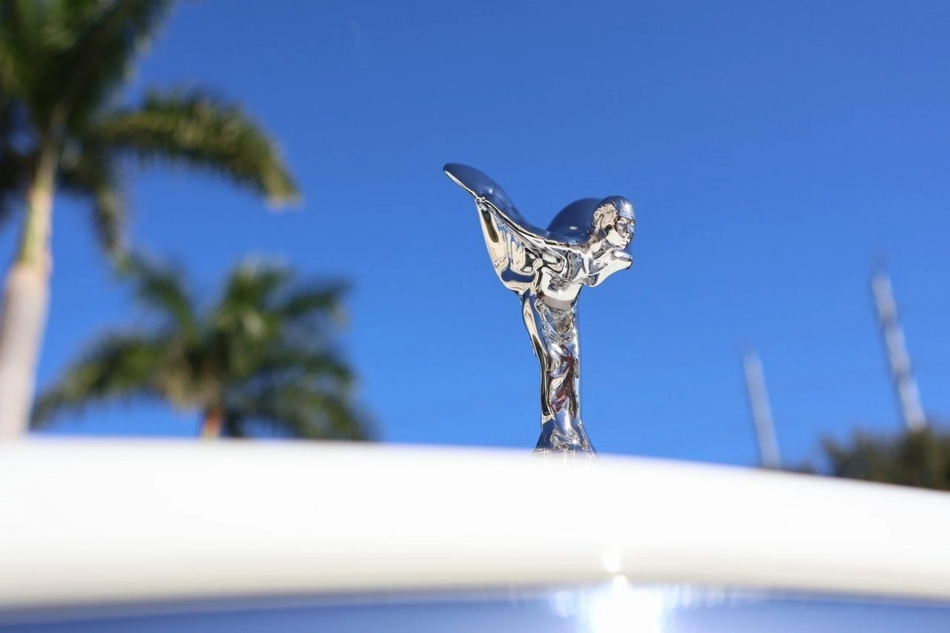 mph005_252489977_6_72336370a7