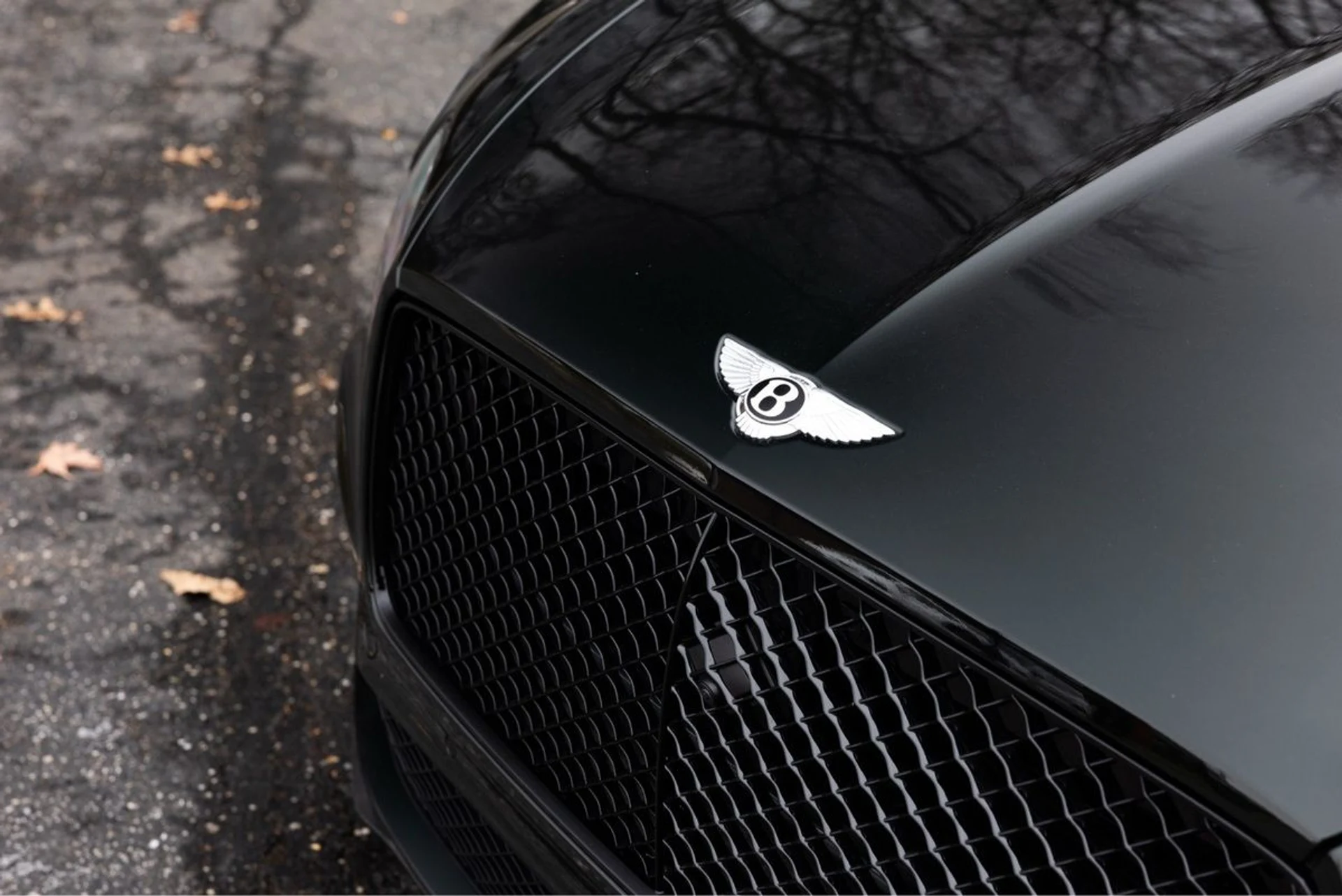 mph005_2533968267_oqqp2f6fggxrx8jqdee2ujyuha4y_f93581c1dc