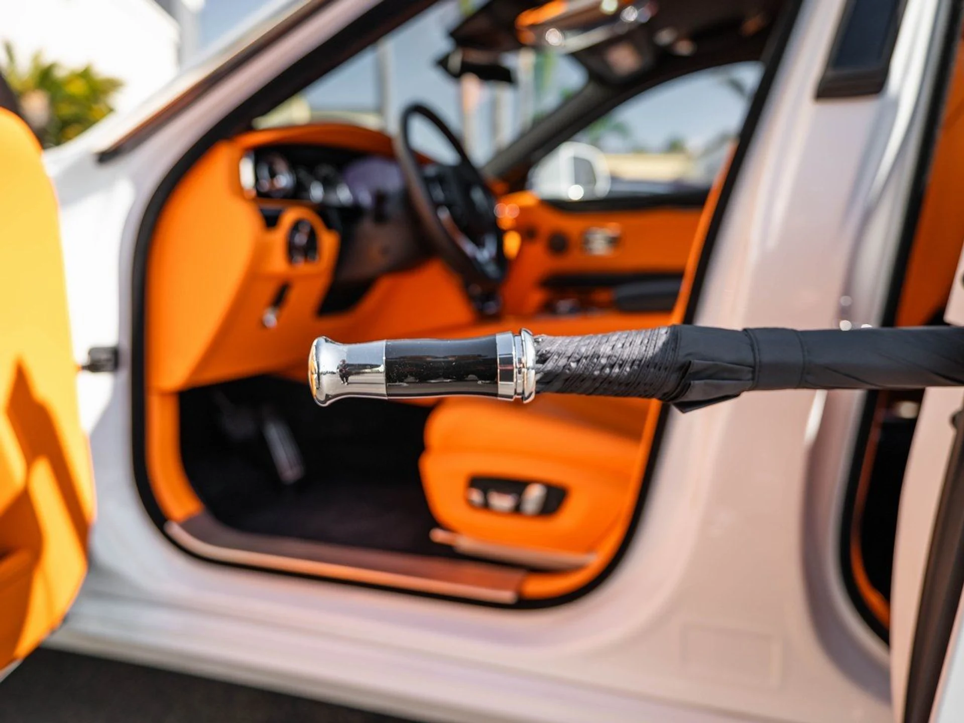 mph005_2565976105_image_6_841ae8823b