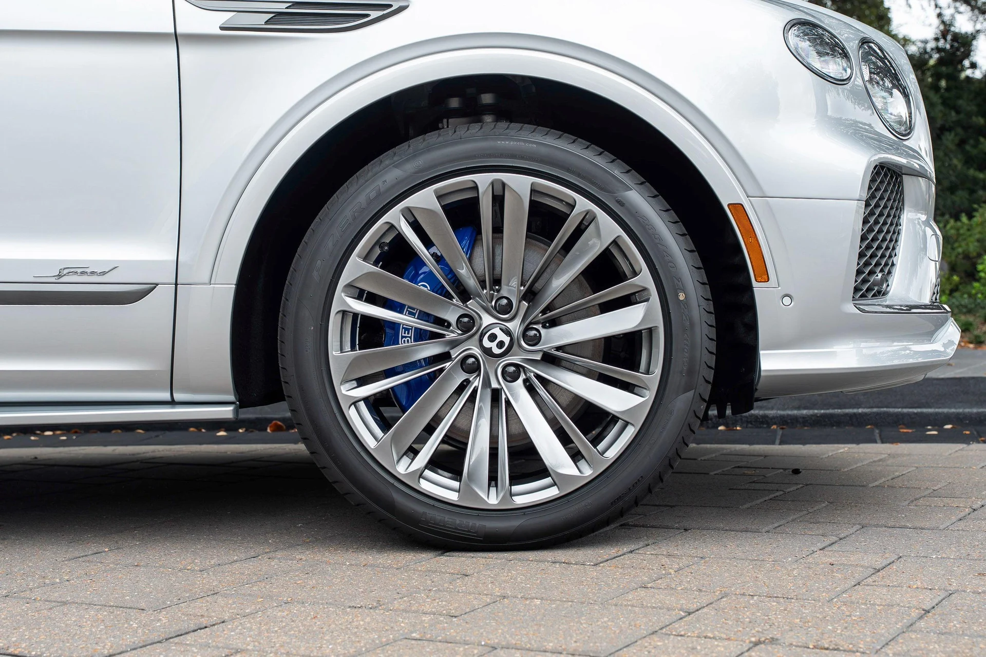 mph005_2574649813_477619924_6954c0034e73cd9f103f4fc6_dfaa9ff20b