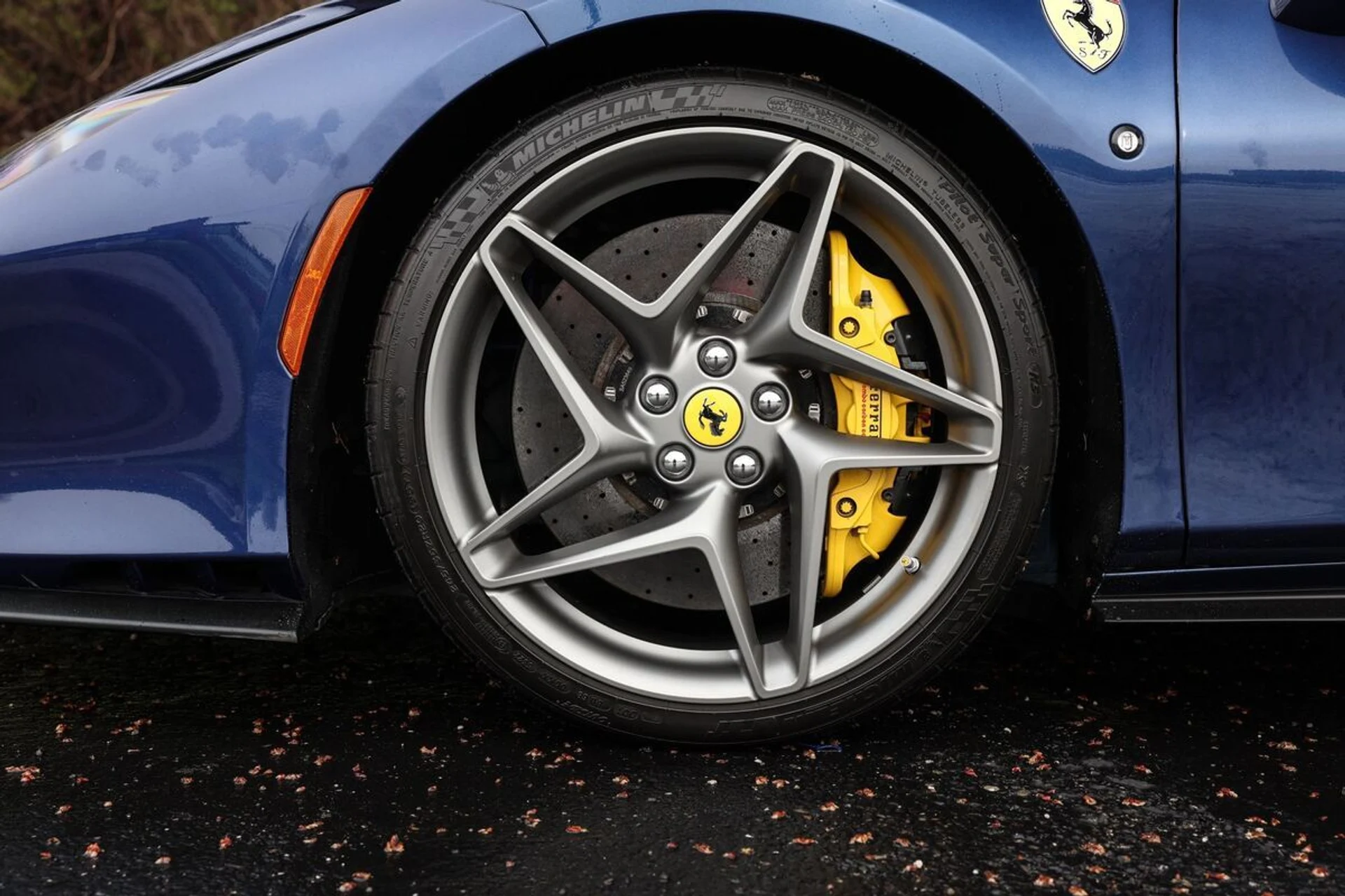 mph005_2677246562_5de3wtvms9jk1z2wro7jrkhpgnw1_2a2e0f090c