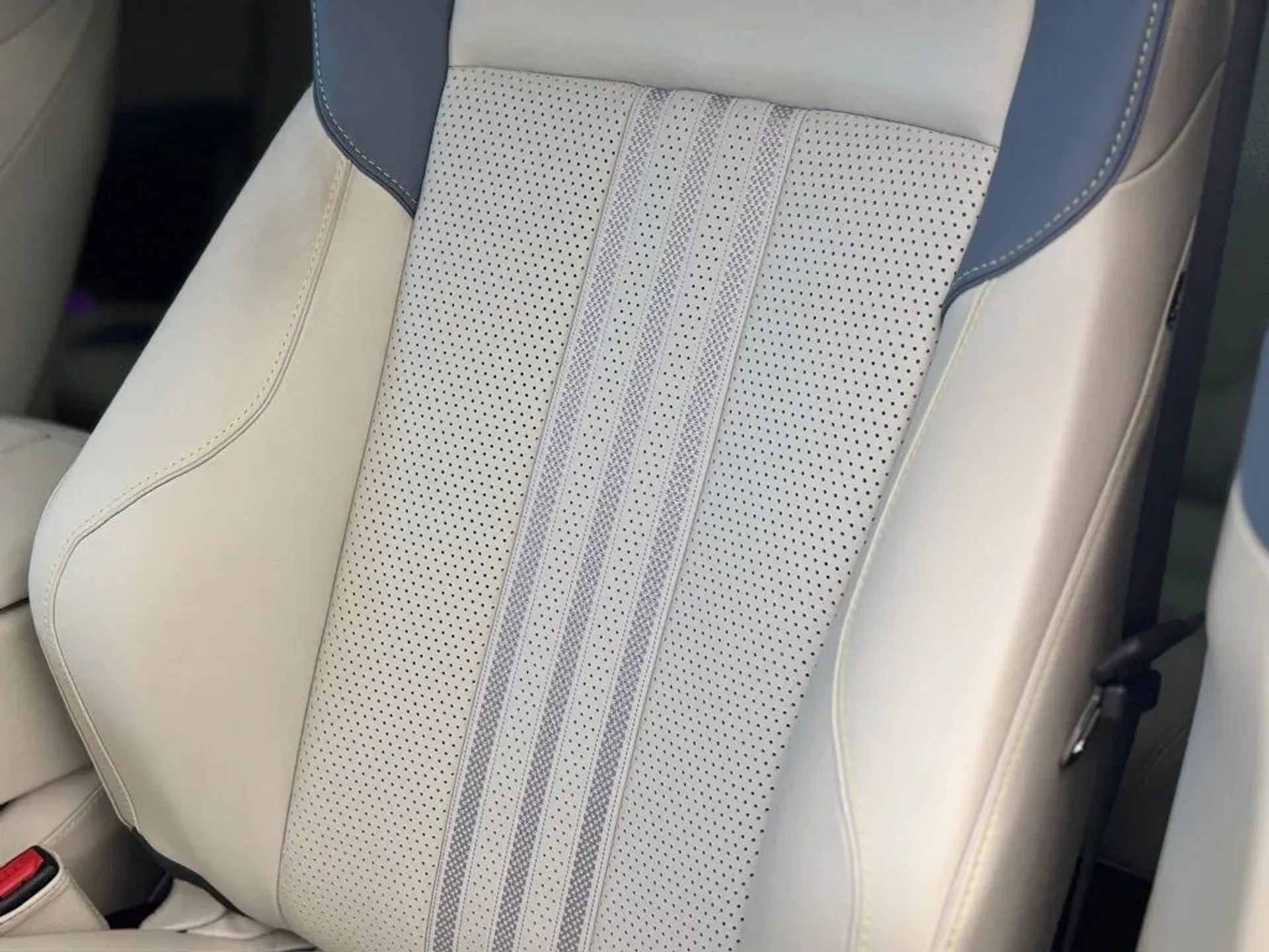 mph005_2716616930_28qpu4zcx1h7exvn54segy6cto57_a066a6678b