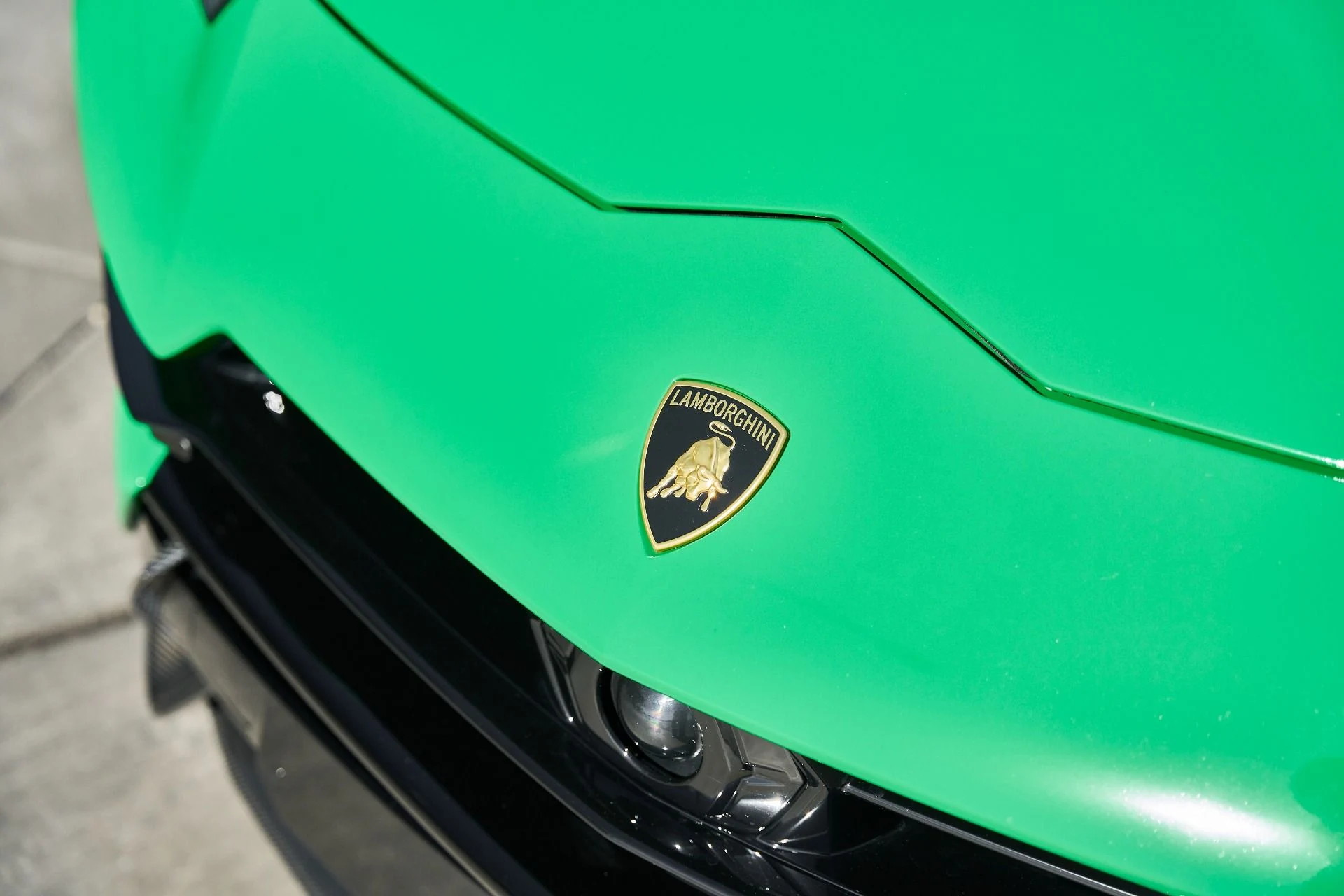 mph005_2755448332_Used_2024_Lamborghini_Urus_Performante_1770171815_4af15f0174