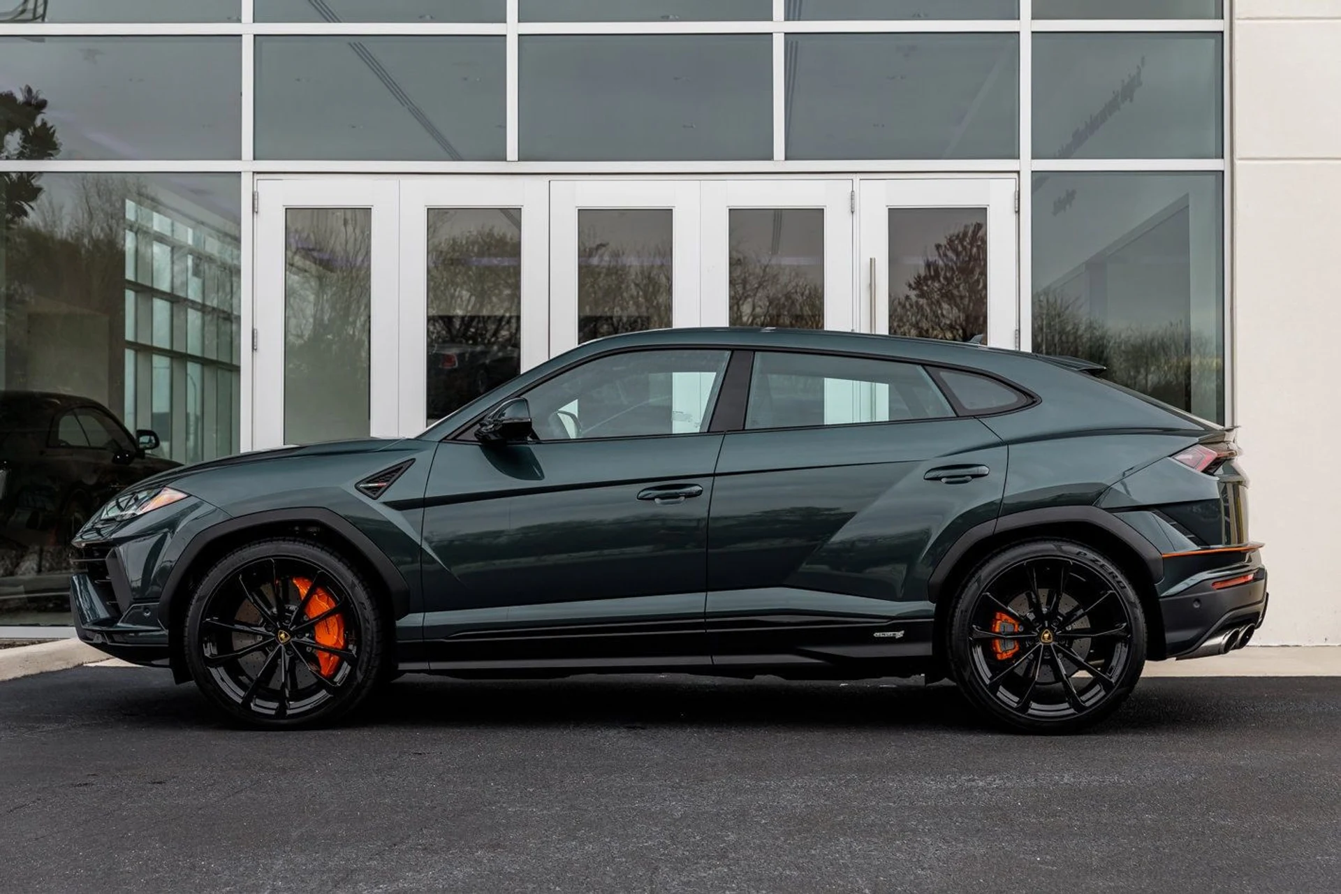 mph005_2784670876_cdb58e0e3bbcf567fb602cb0739f99bex_e95d9b7c4c