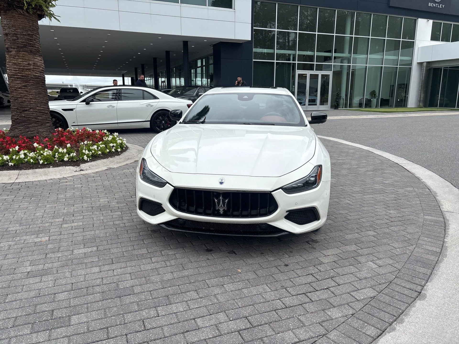 mph005_282836611_6c538371726d48728bc604e31ea592a4_d508bf008b