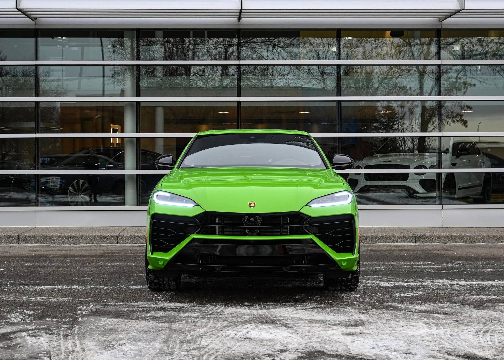 mph005_283113720_bcb1f85a_3568_40f9_8d2b_6cfa4fca7348_5363a18af8