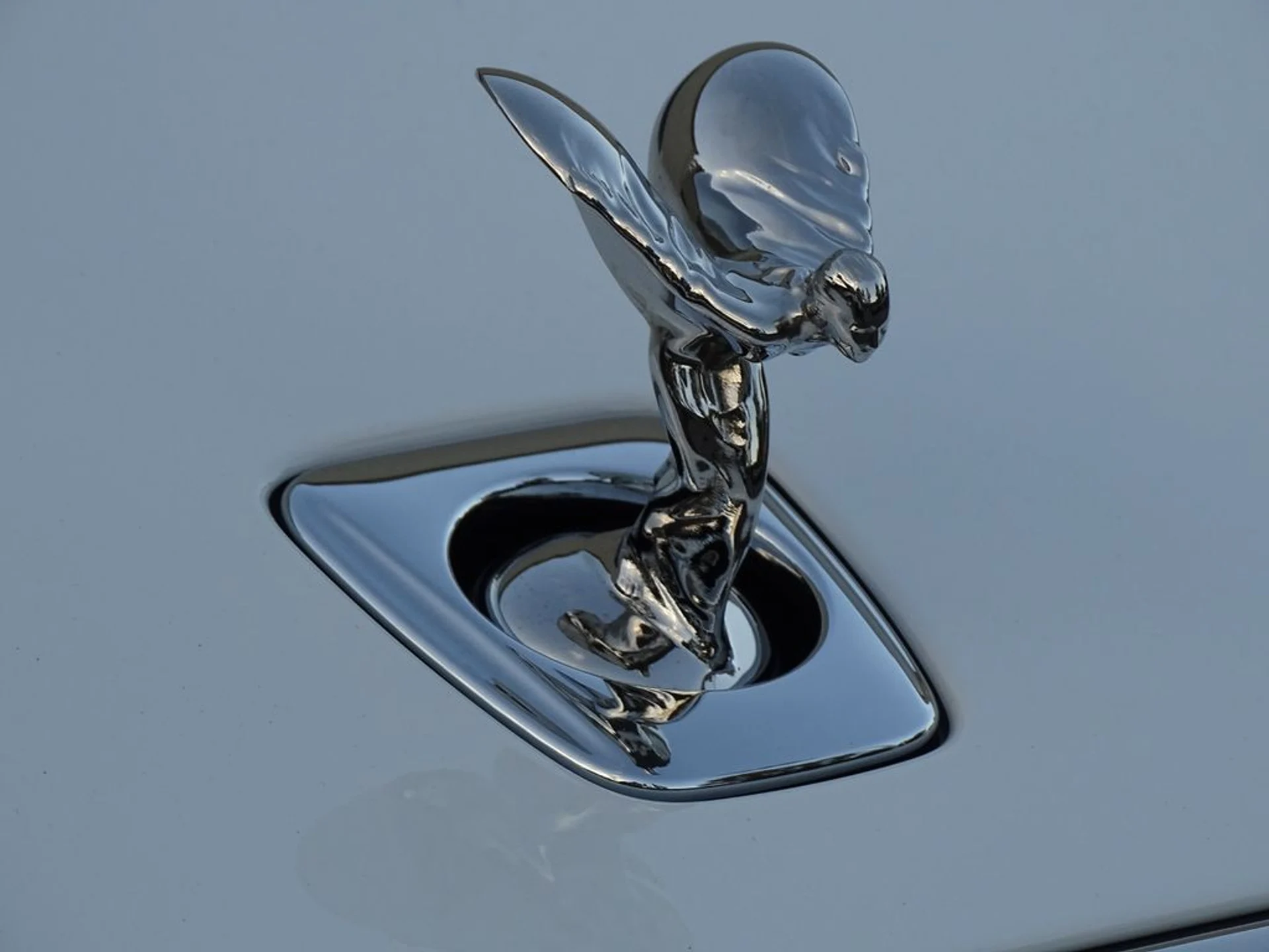 mph005_2951482526_424c4cd22d411254753838f75536bf0cx_d7208860bd