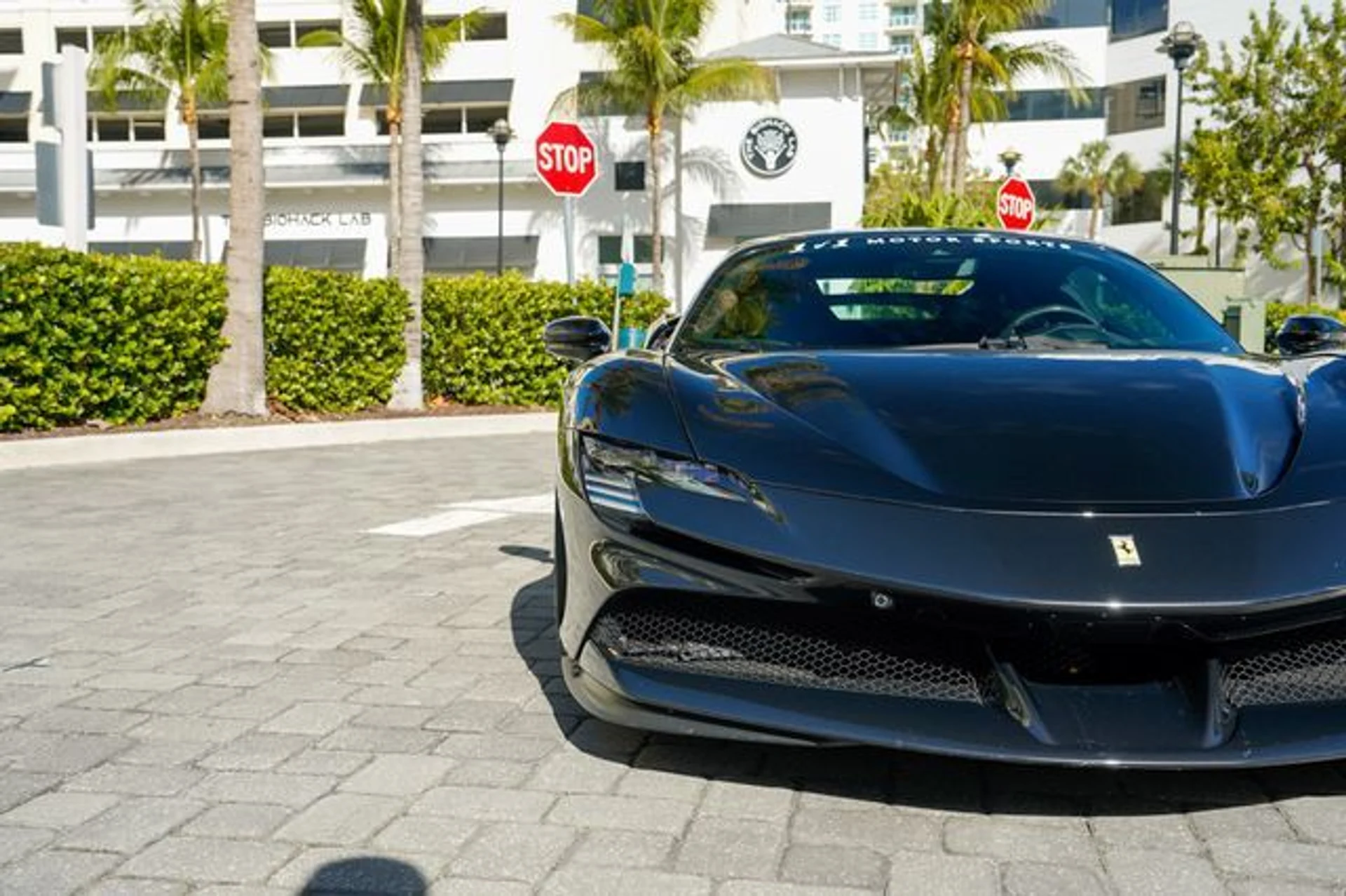 mph005_2995357879_22998025_6_d1d64a82e4