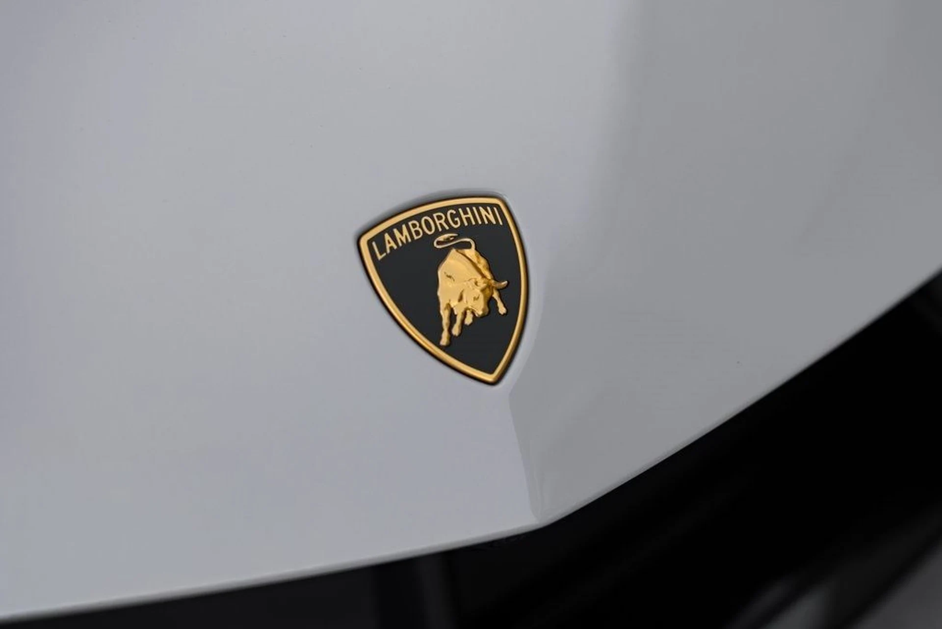 mph005_3009858156_101711bca5c45013fc1e538268018e2ax_fc0a4b42c3