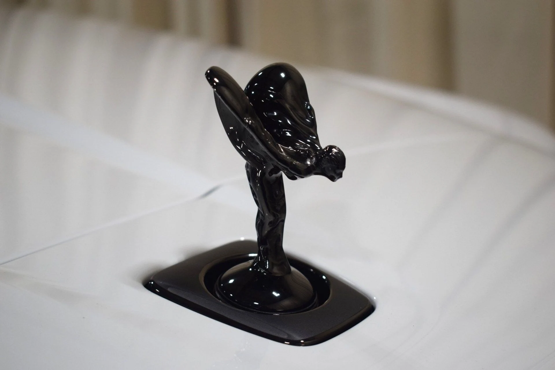 mph005_304124625_18f6b5a50d891842f8aa06bb6881e6d8x_e618531801