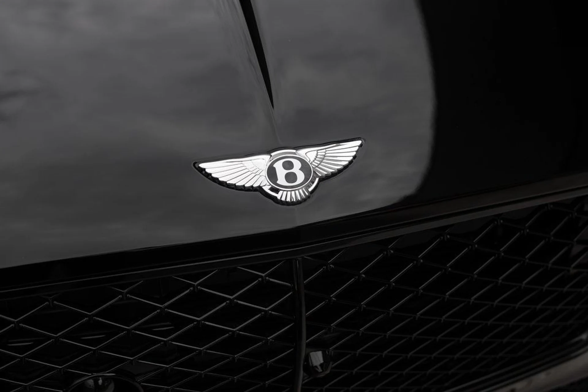 mph005_3077917948_a9c72c46c4e5c8e3d3f14a9b552d64c9x_d43506feb4