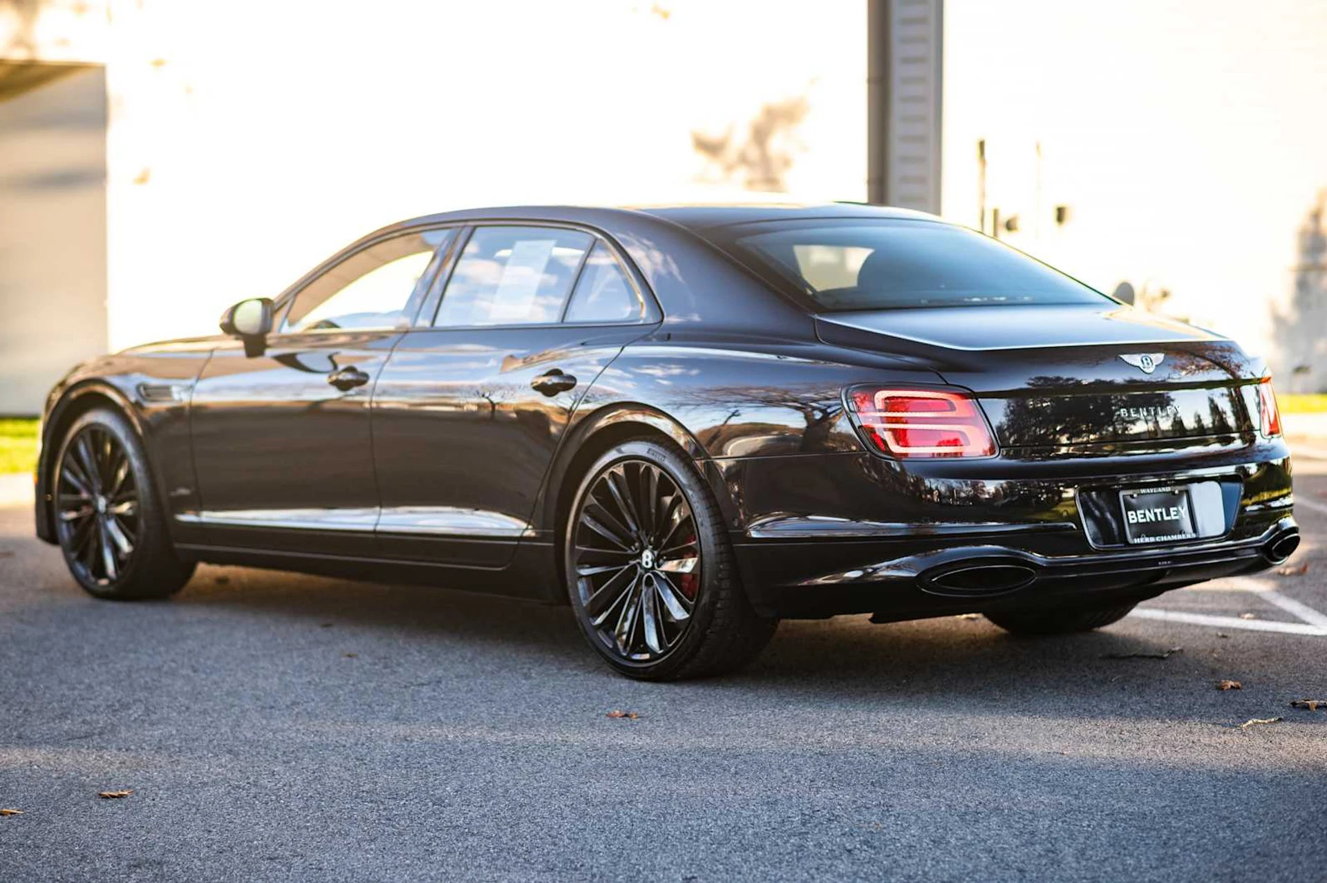 mph005_3099404166_6a7c14d1a9f497022ca35ab837b9f760x_1e9cd936ea